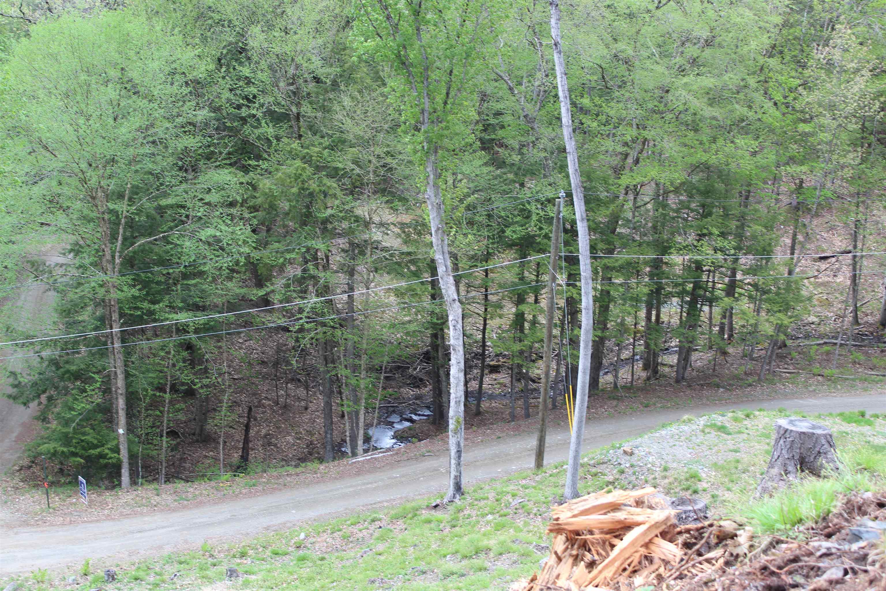 View of the brook