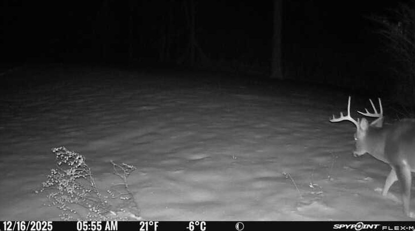 Property photo 27