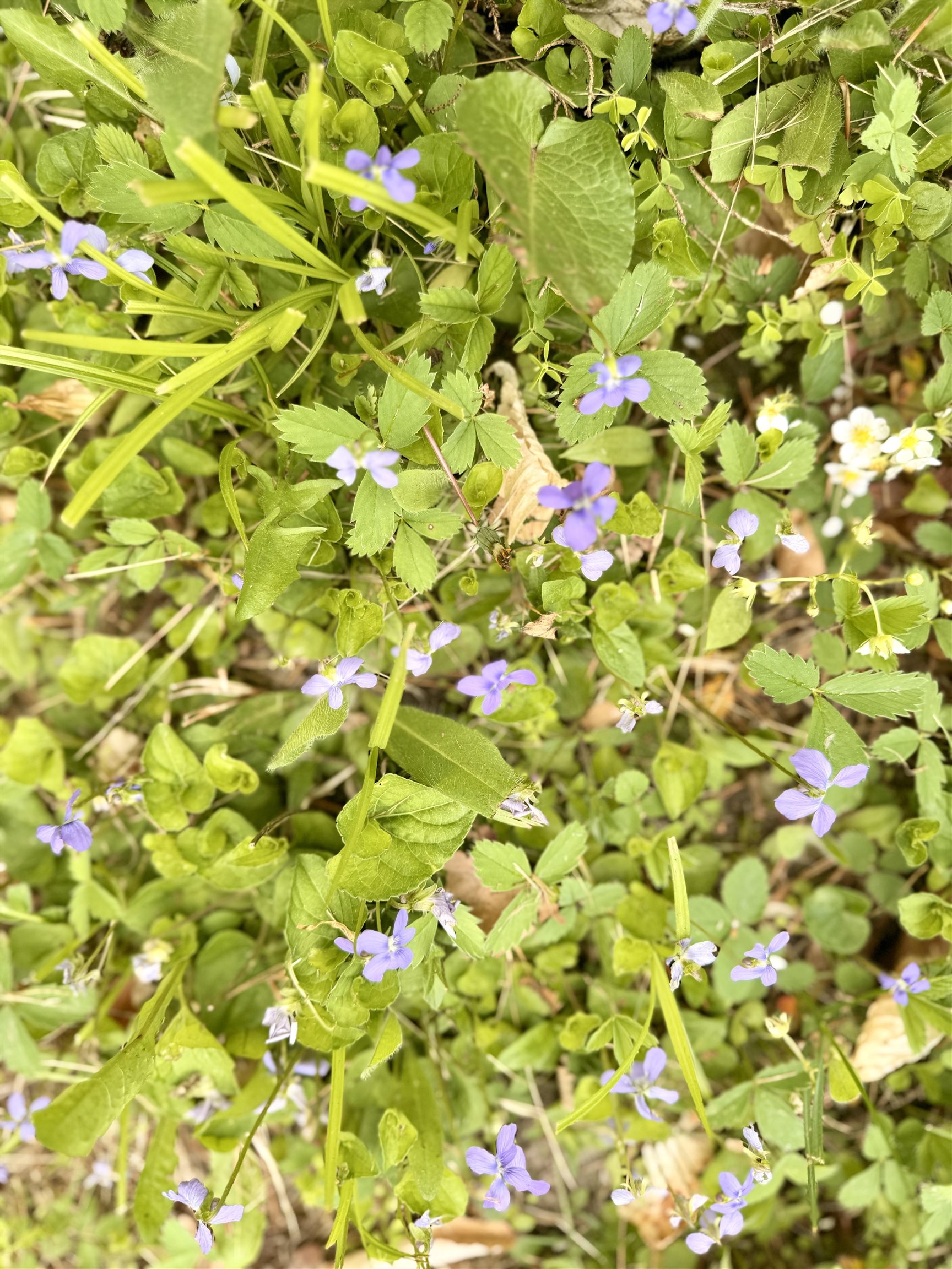 Property photo 30