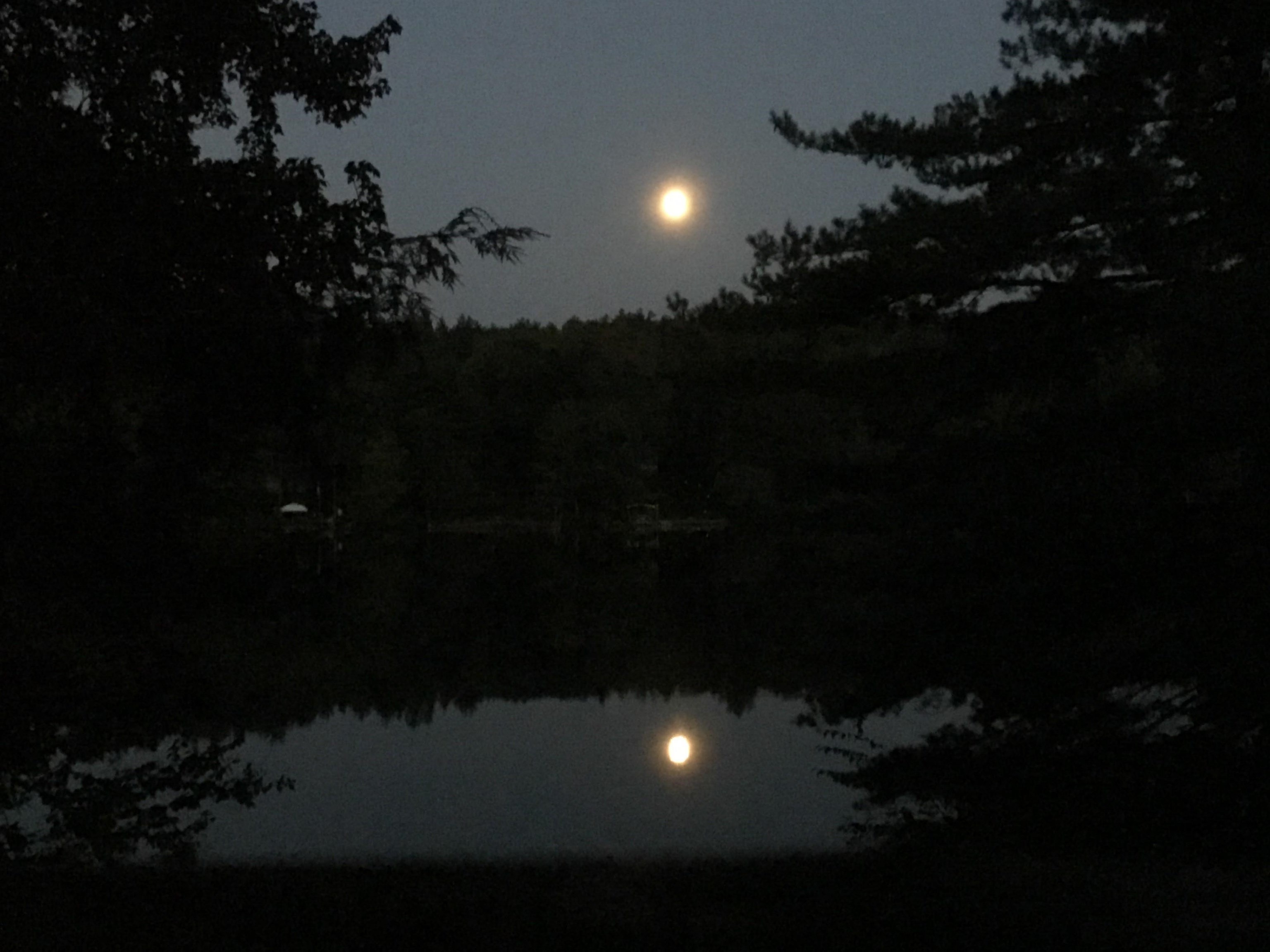 176 Upper Pratt Pond Rd, New Ipswich, NH 03071
