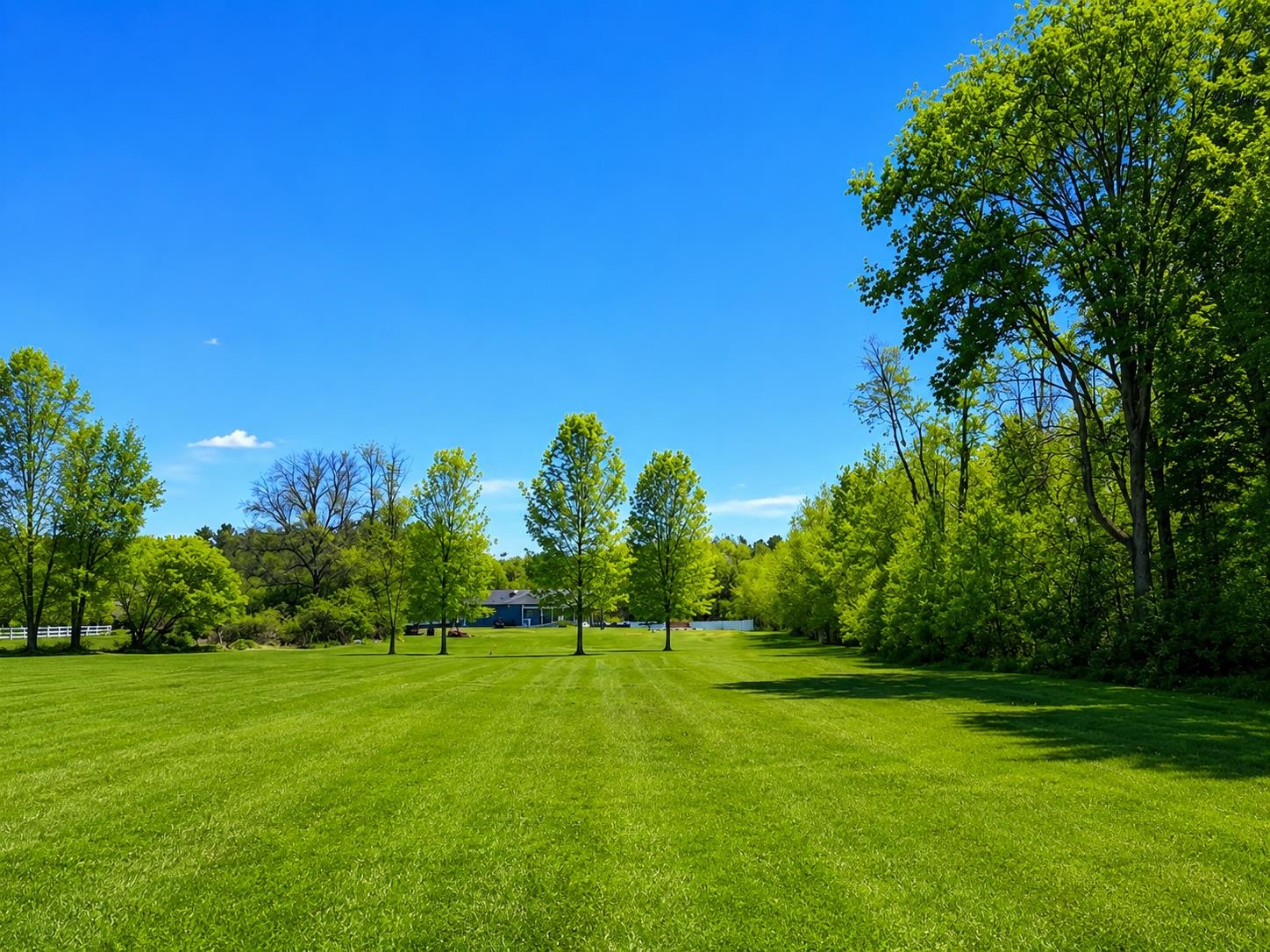 5659 Georgia Shore Lot 4-1 Road