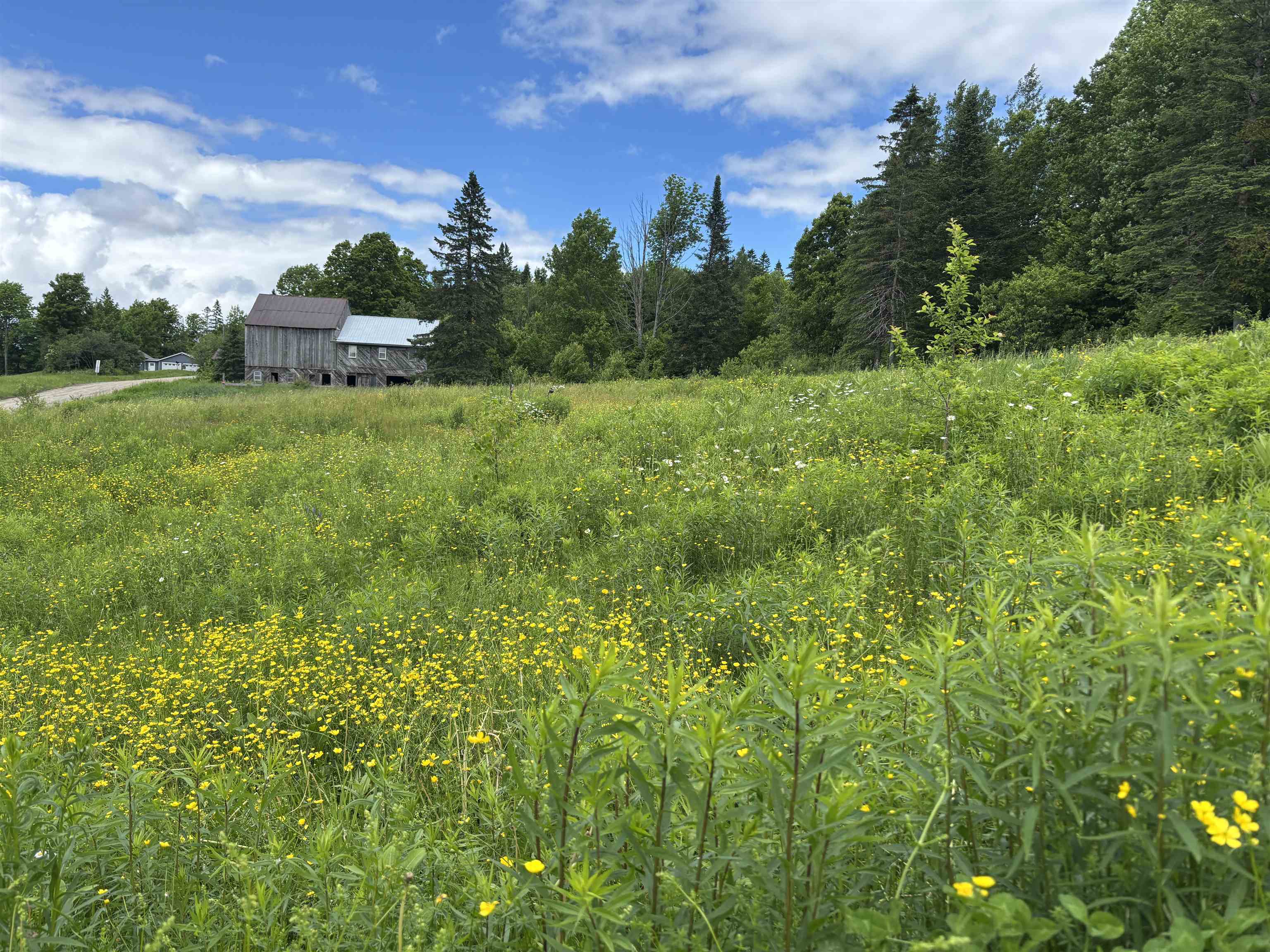 Property photo 41