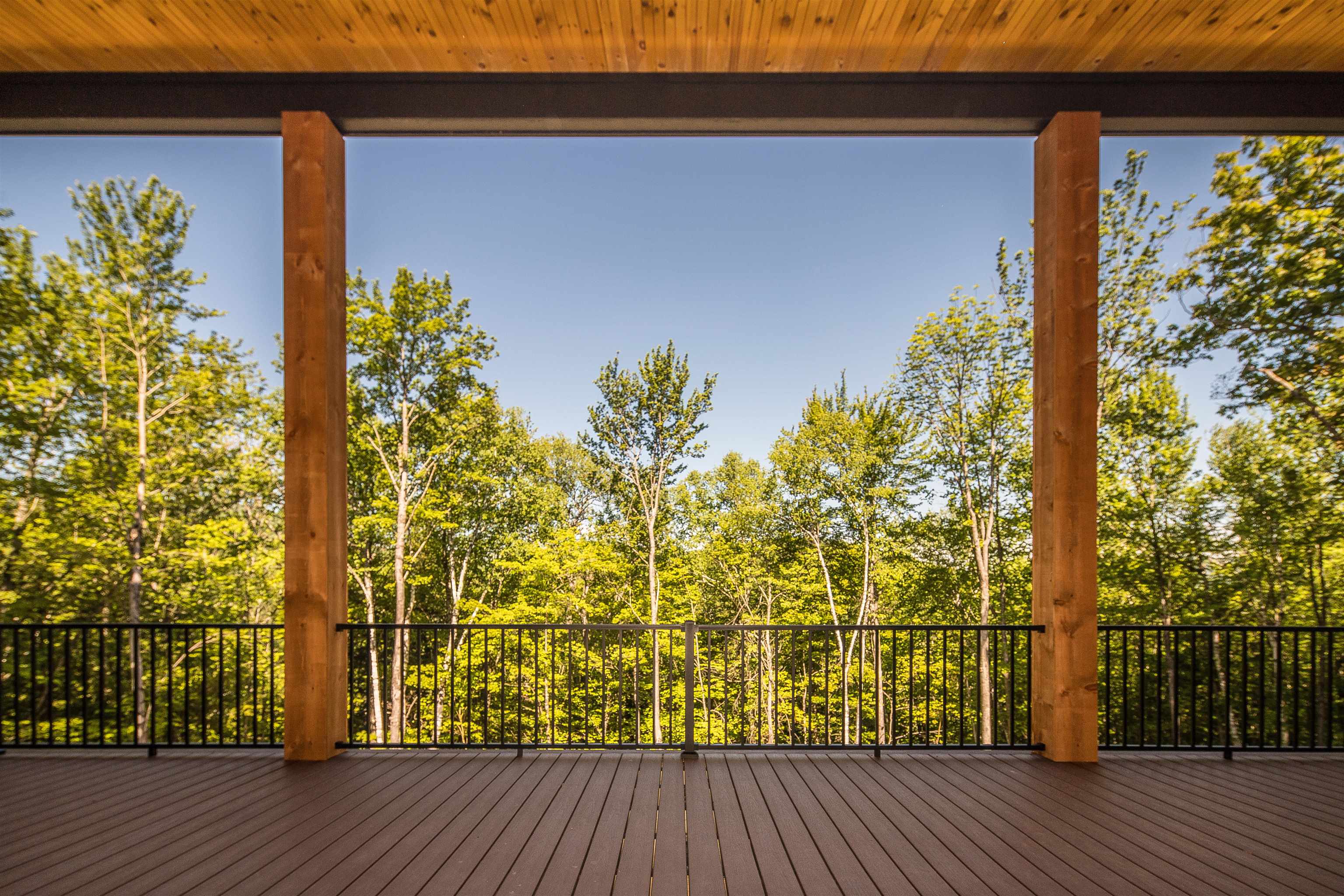 Lovely deck within the tree canopy- Fall foliage coming soon! 25524123