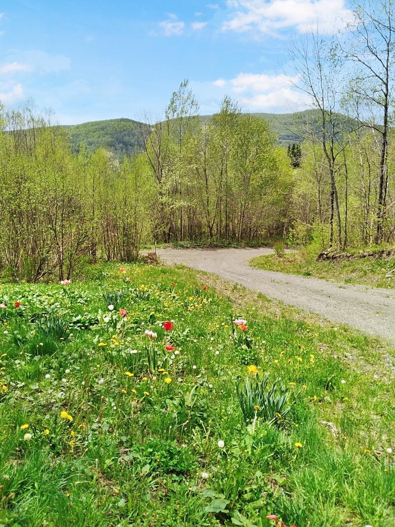 11 Roy Blvd, Pittsburg, NH 03592
