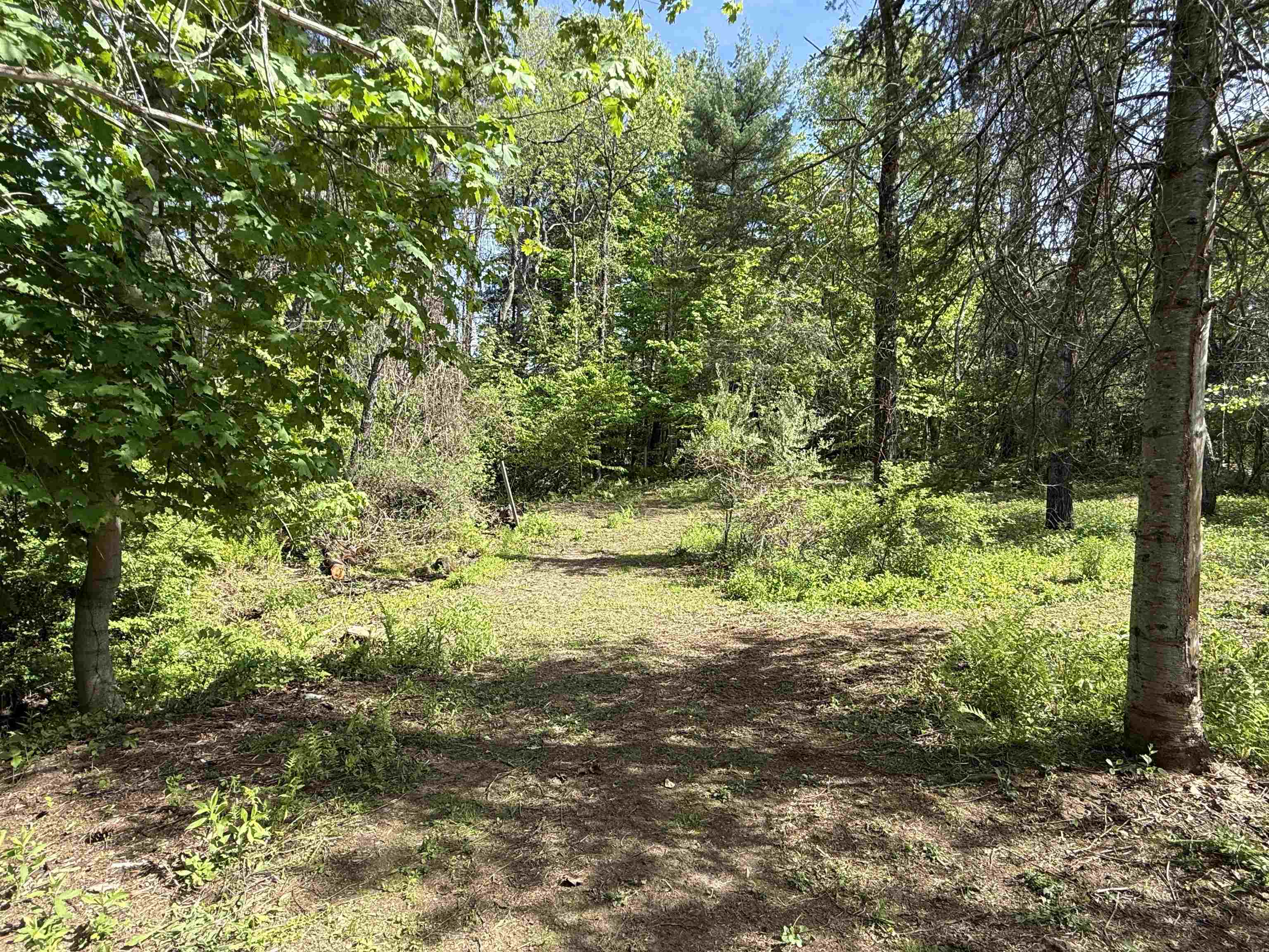 More paths 25346099