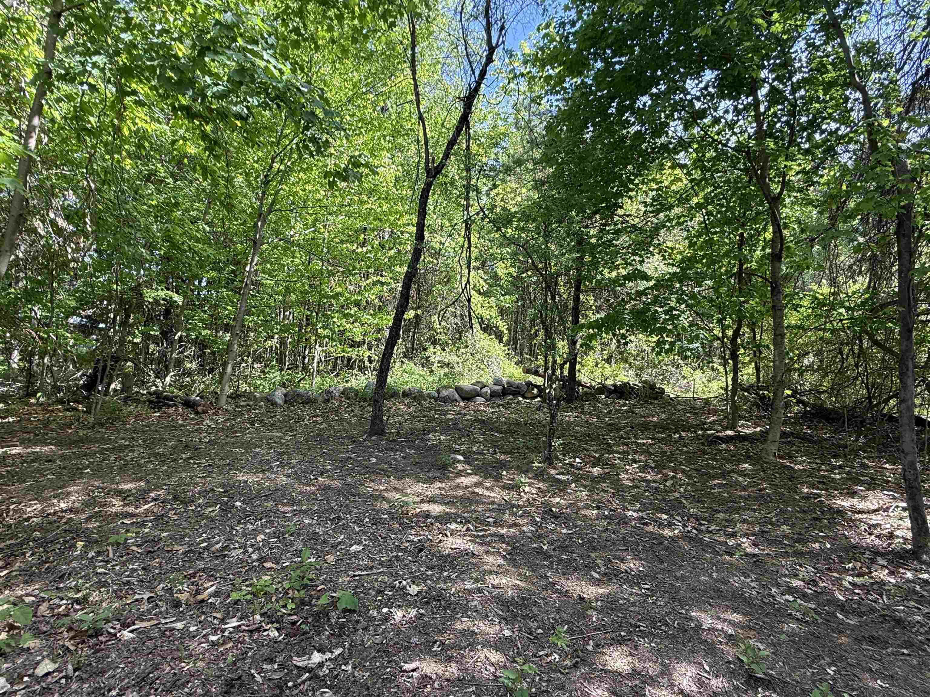 Back Boundary Stone Wall 25346102