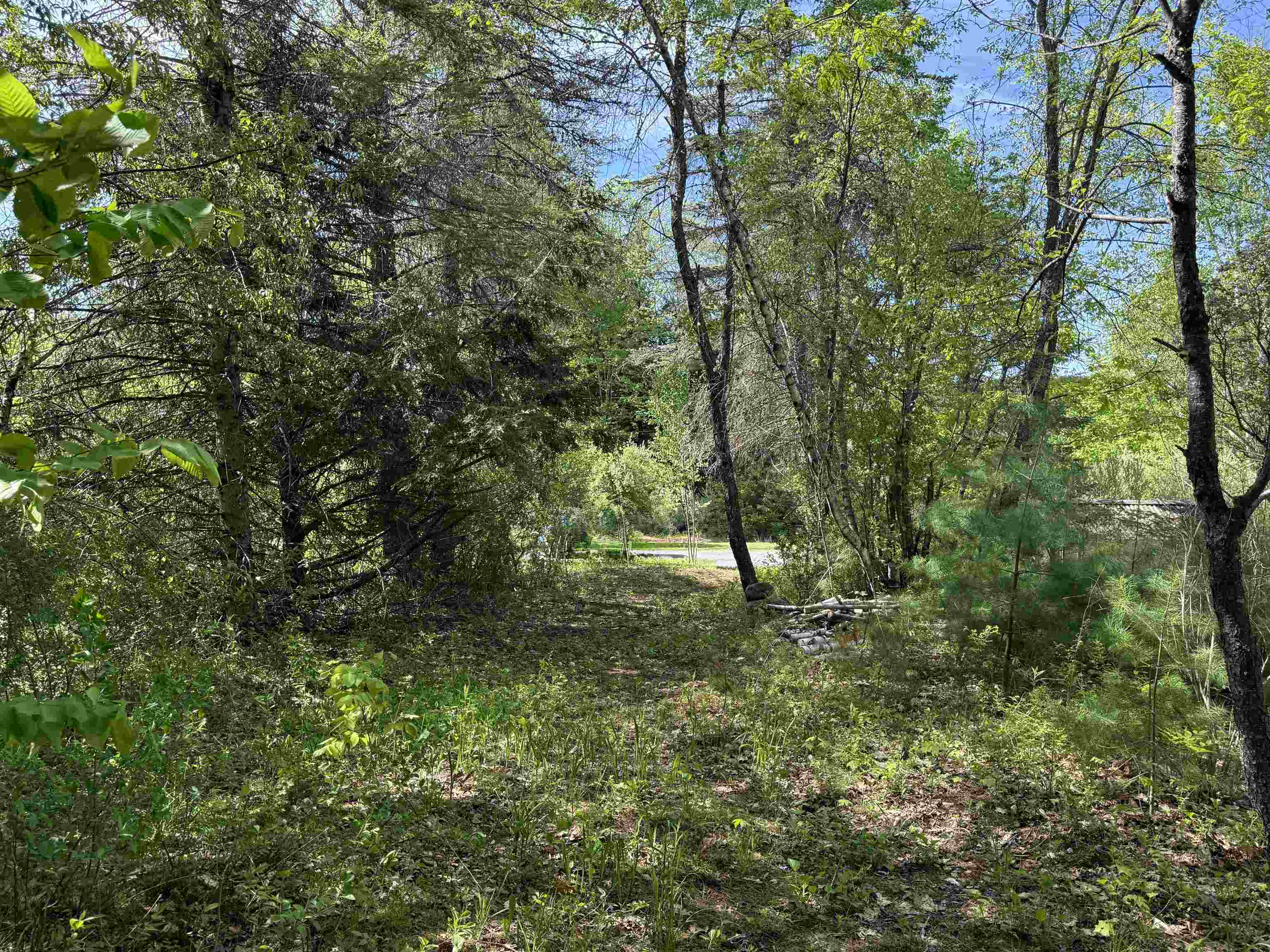 From Back of Lot Looking Towards the Road 25346103