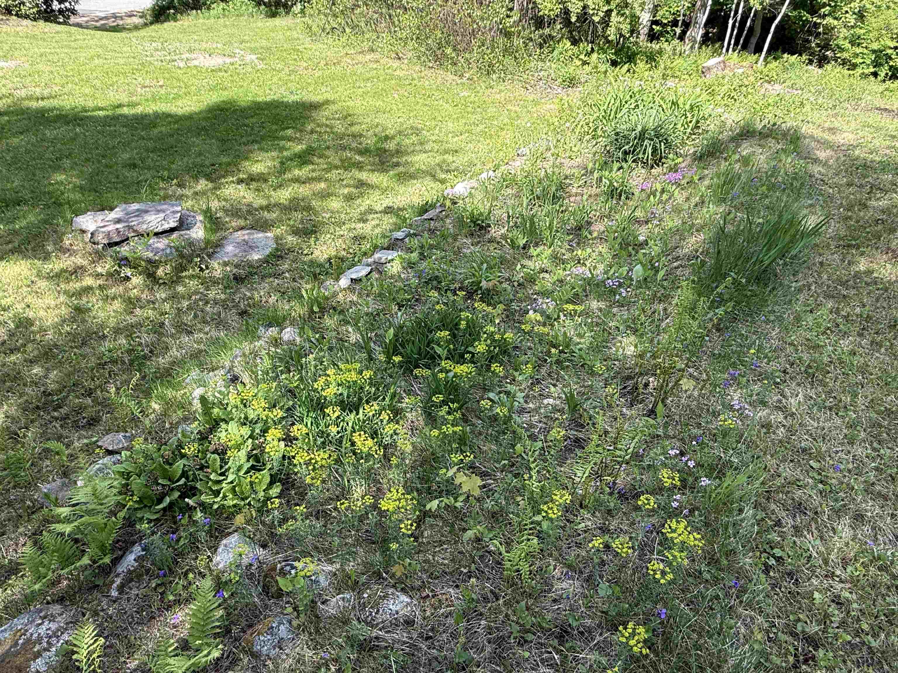 Pre-Existing Flower Beds 25346104