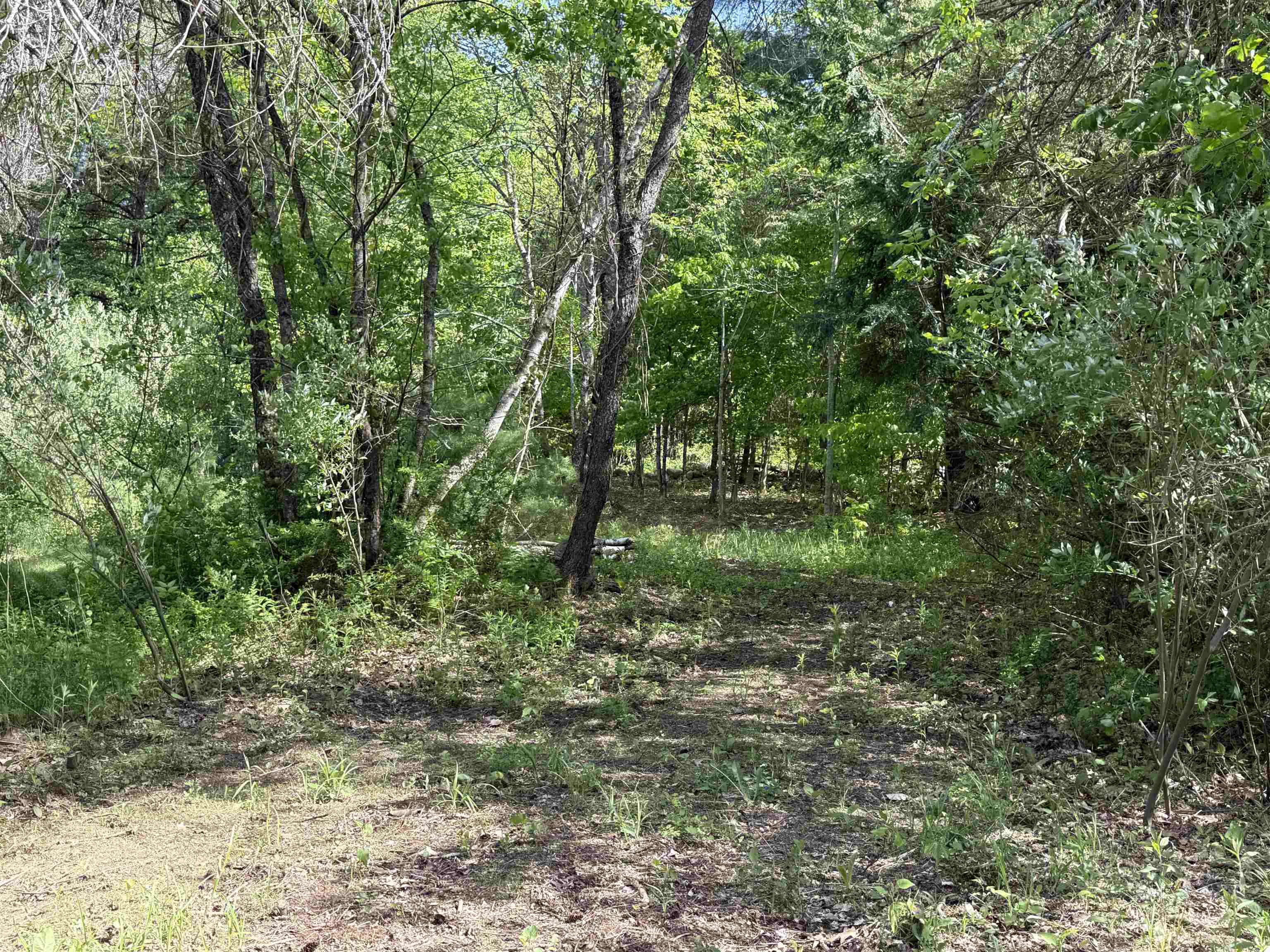 From driveway looking towards the back of the lot 25346105