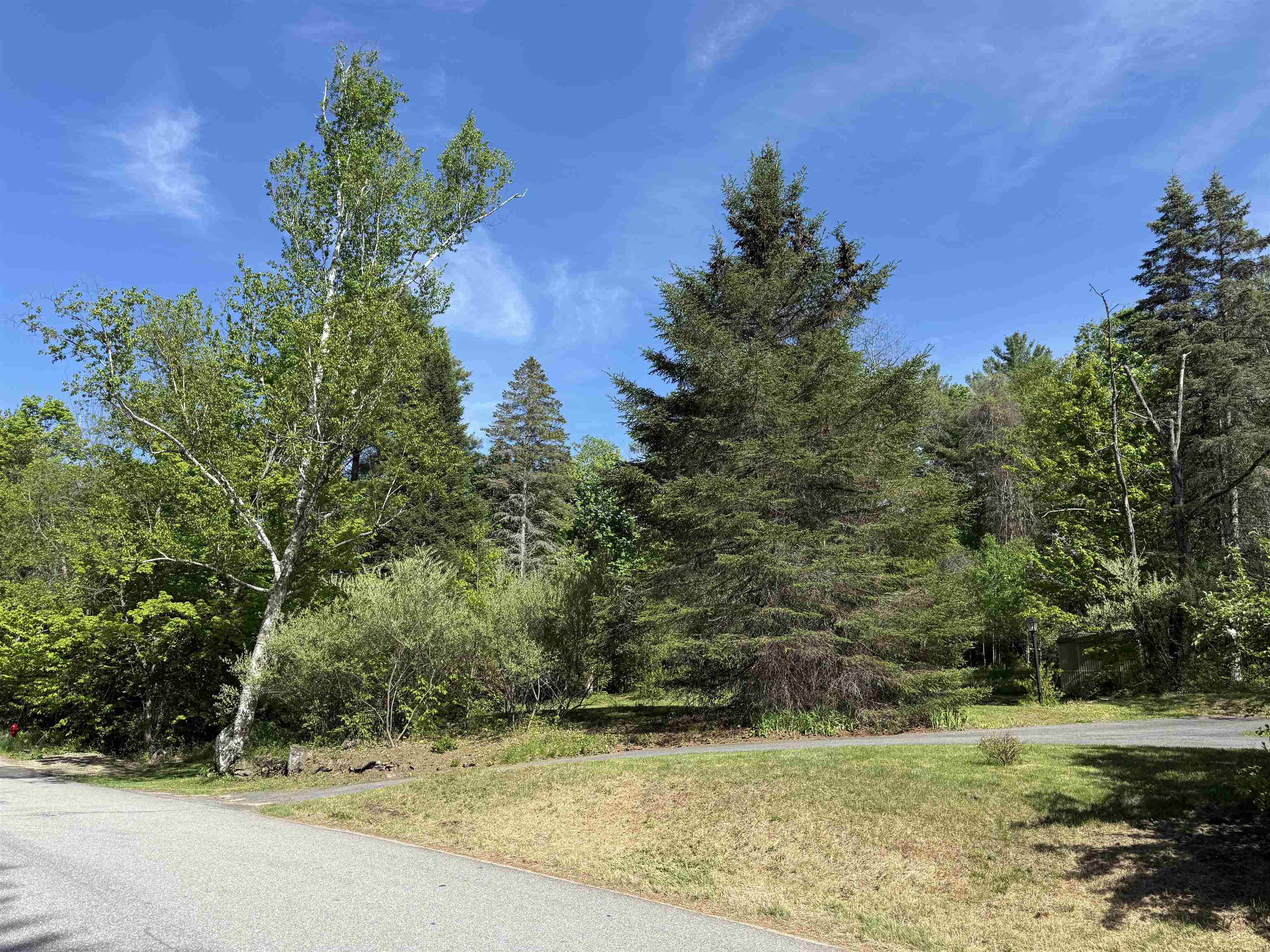 165 Prospect St, Bristol, NH 03222