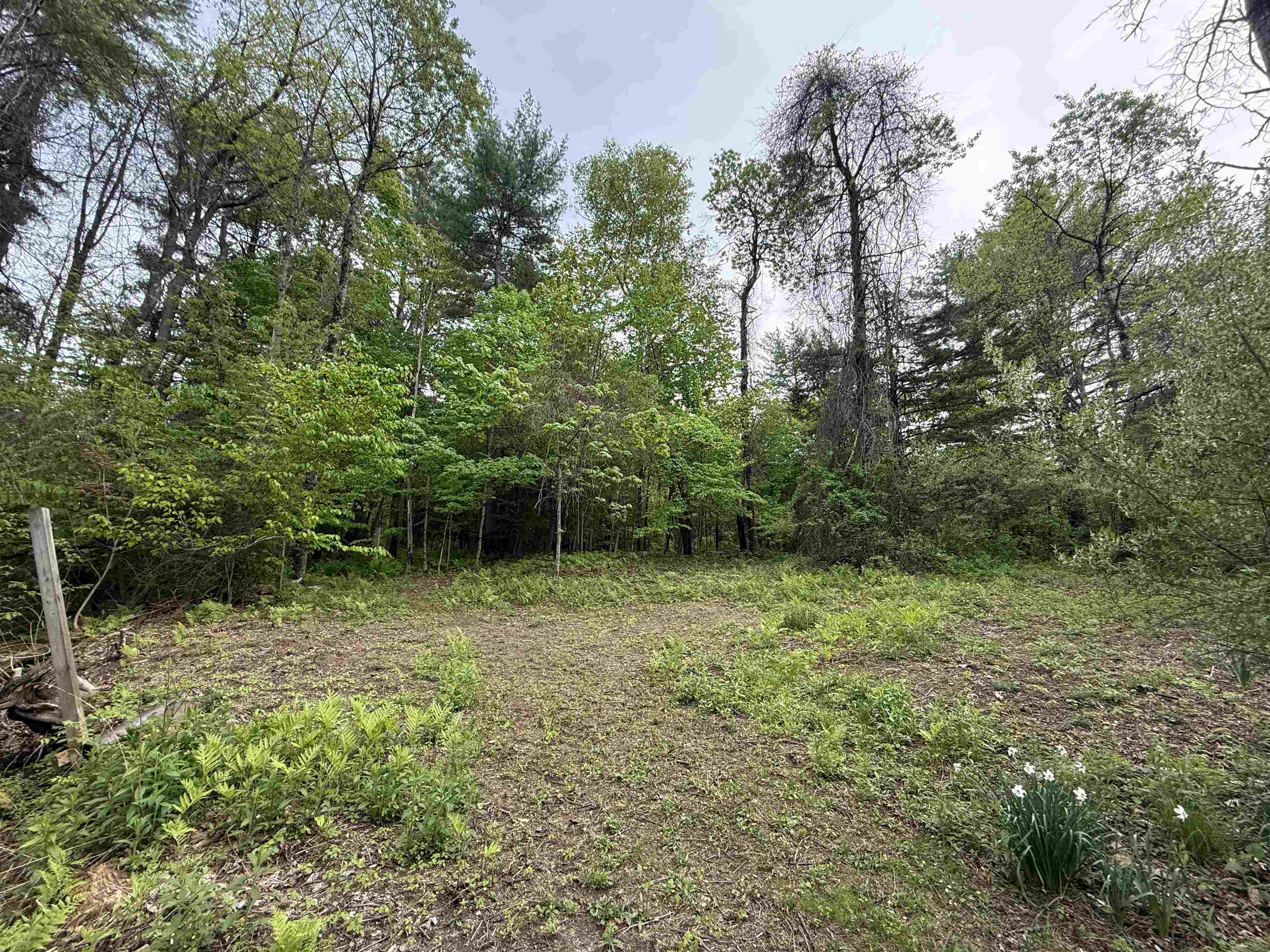 Partially cleared 25346086