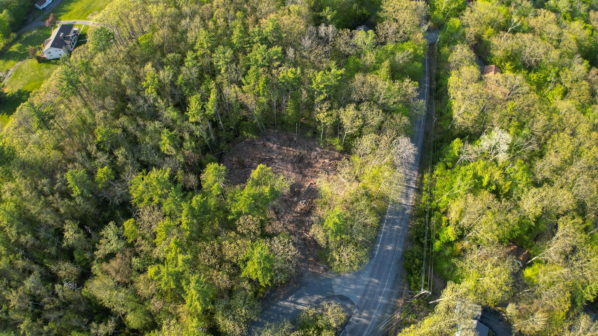7 Double Diamond Dr, Grantham, NH 03753