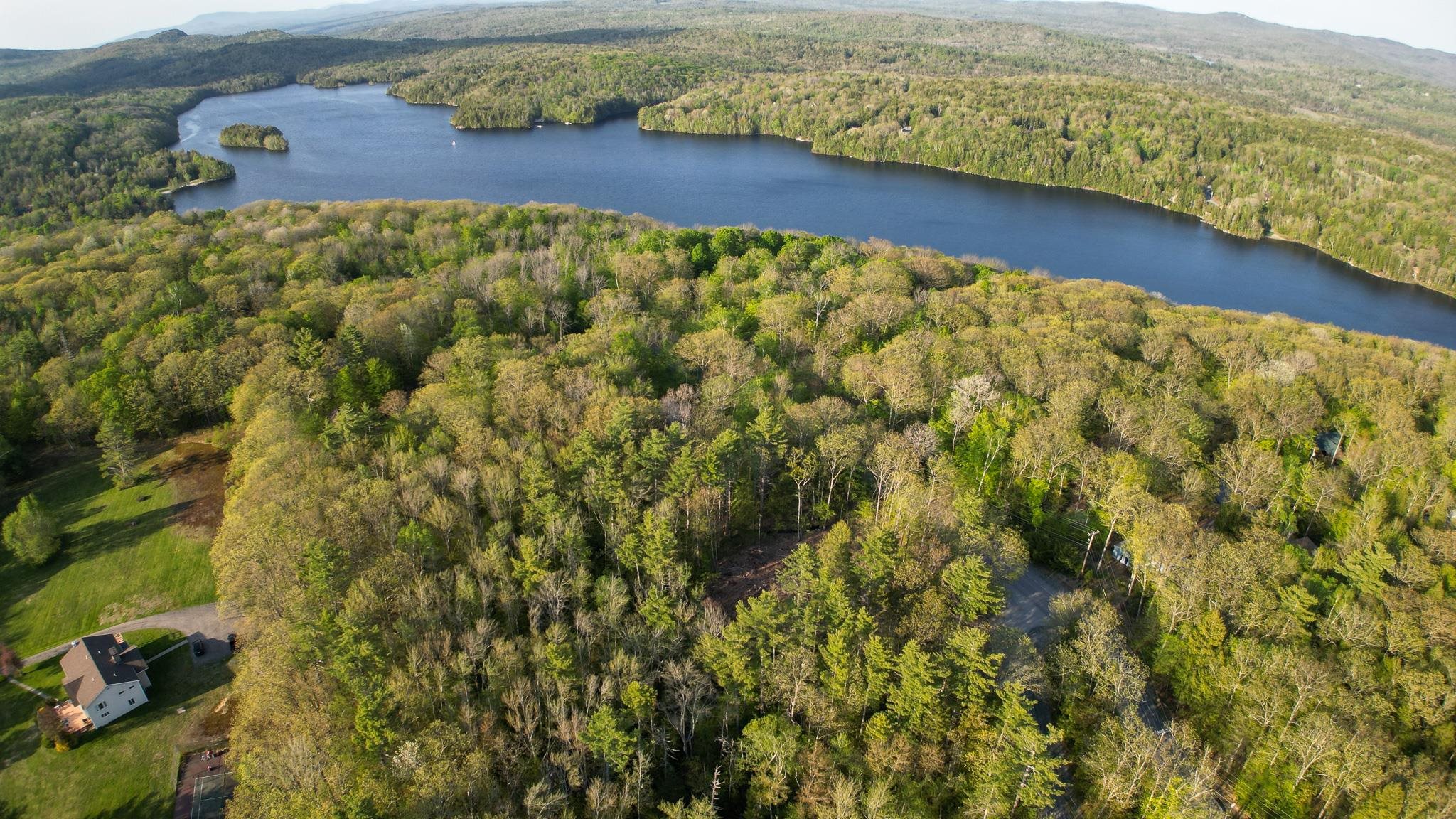 7 Double Diamond Dr, Grantham, NH 03753