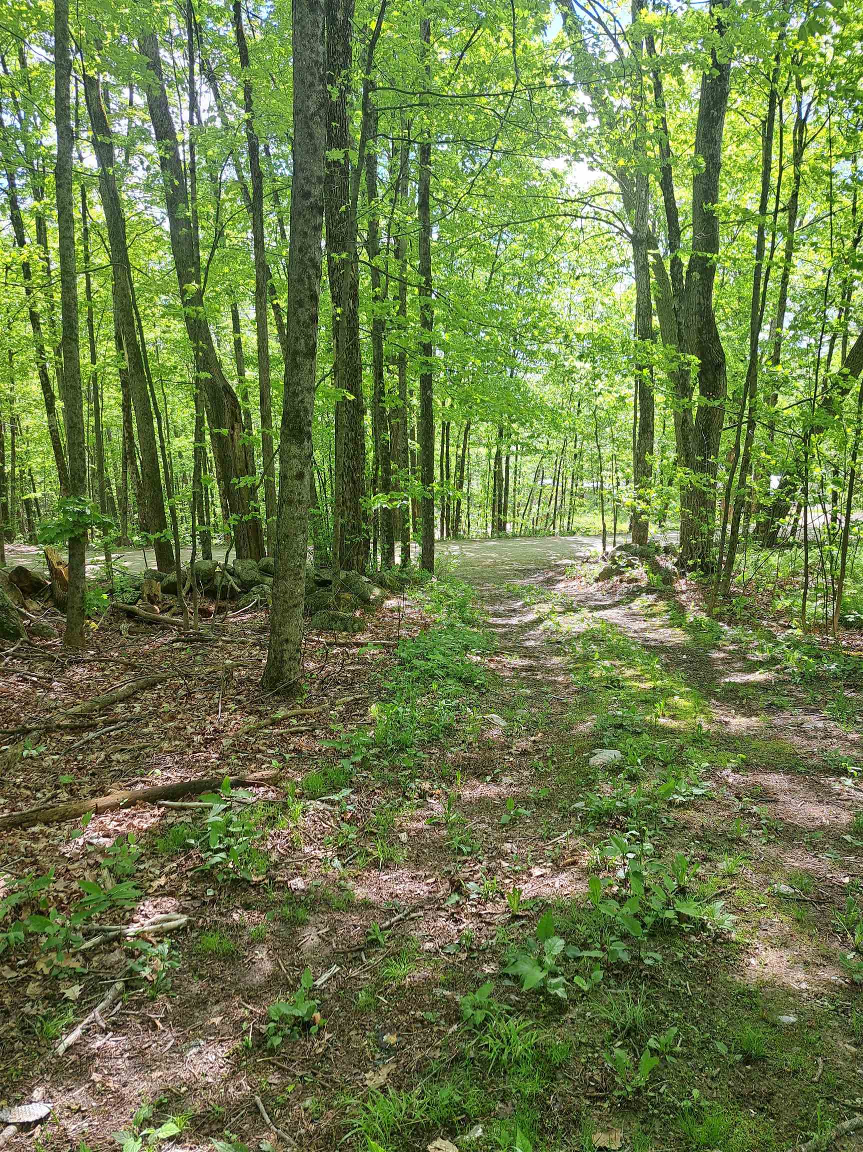 81 Hart Farm Rd, Deering, NH 03244
