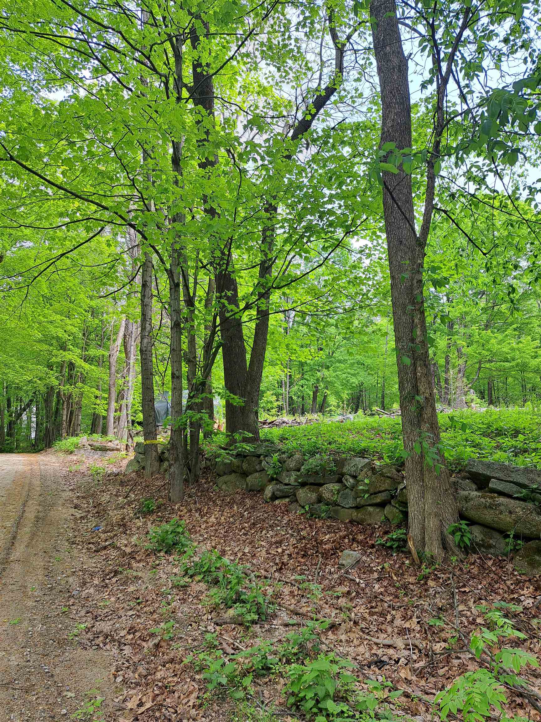 Deering NH&nbsp;Land for sale $$100,000 | 1.5 Acres  | Price Per Acre $0  | Total Lots 3
