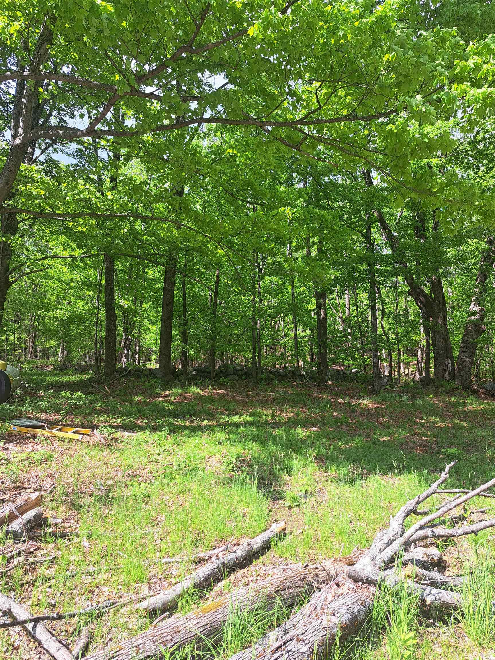 81 Hart Farm Rd, Deering, NH 03244