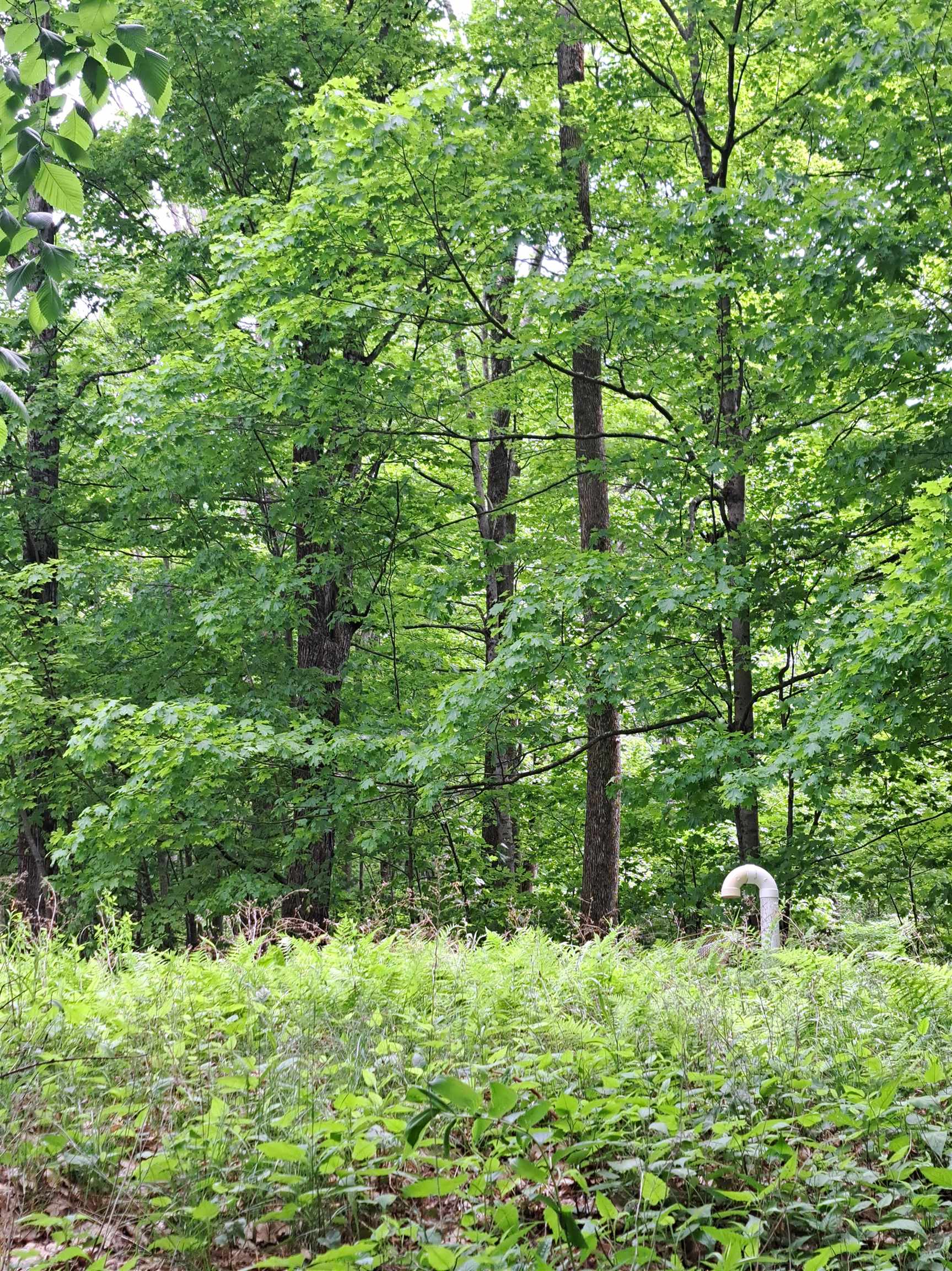 81 Hart Farm Rd, Deering, NH 03244