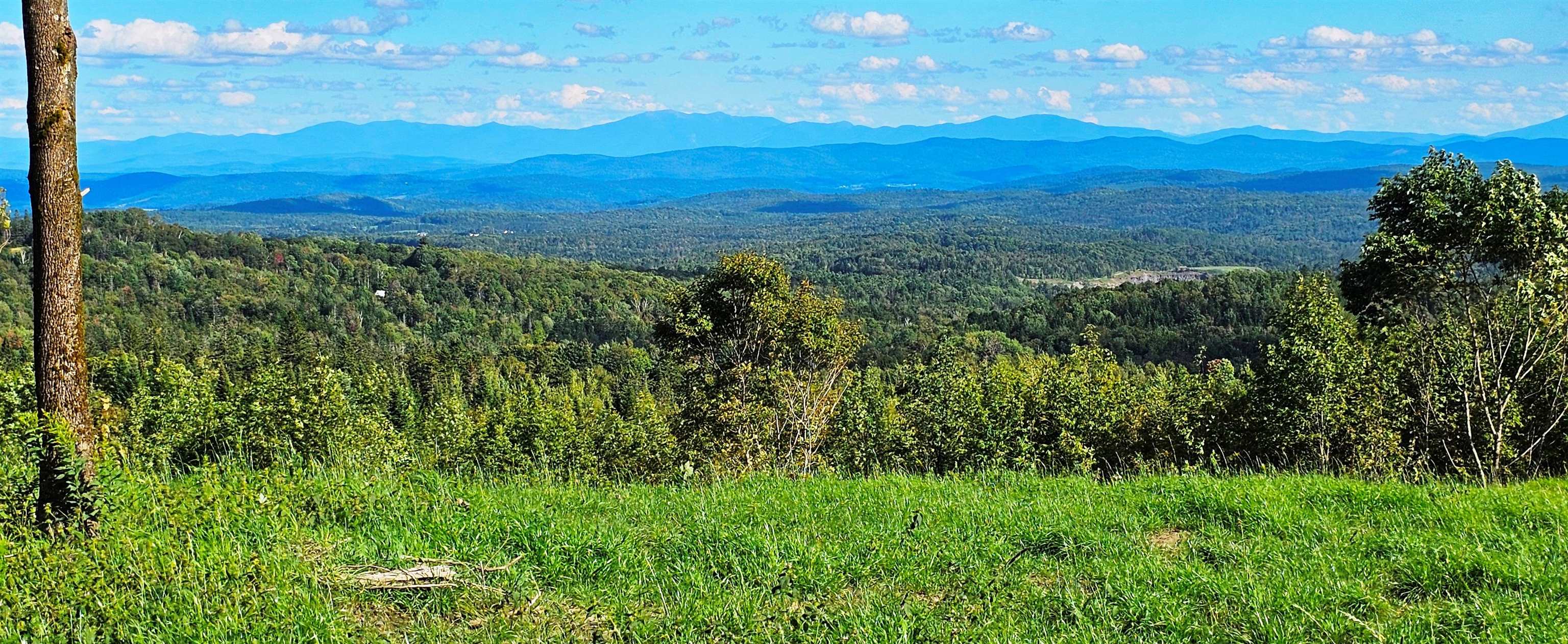 Village of Walden in Town of Walden VT&nbsp;Land for sale $$1,500,000 | 270 Acres  | Price Per Acre $0  | Total Lots 2