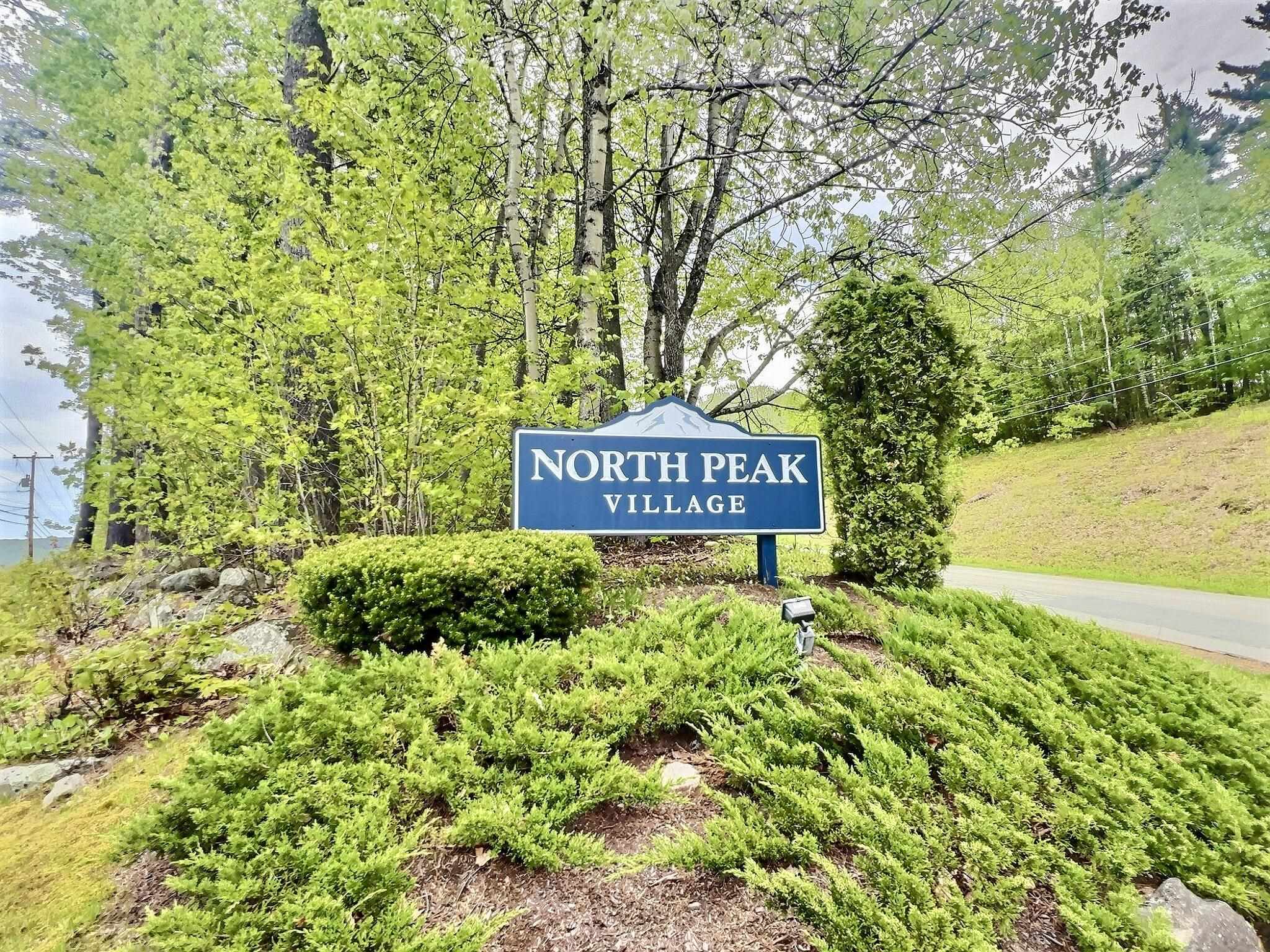 19 North Peak Village Rd, Newbury, NH 03255