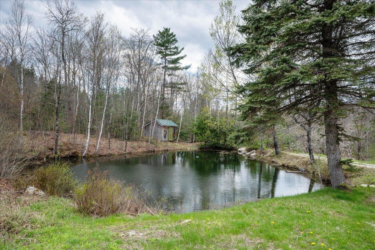 93 Wheeler Ln, Lempster, NH 03605