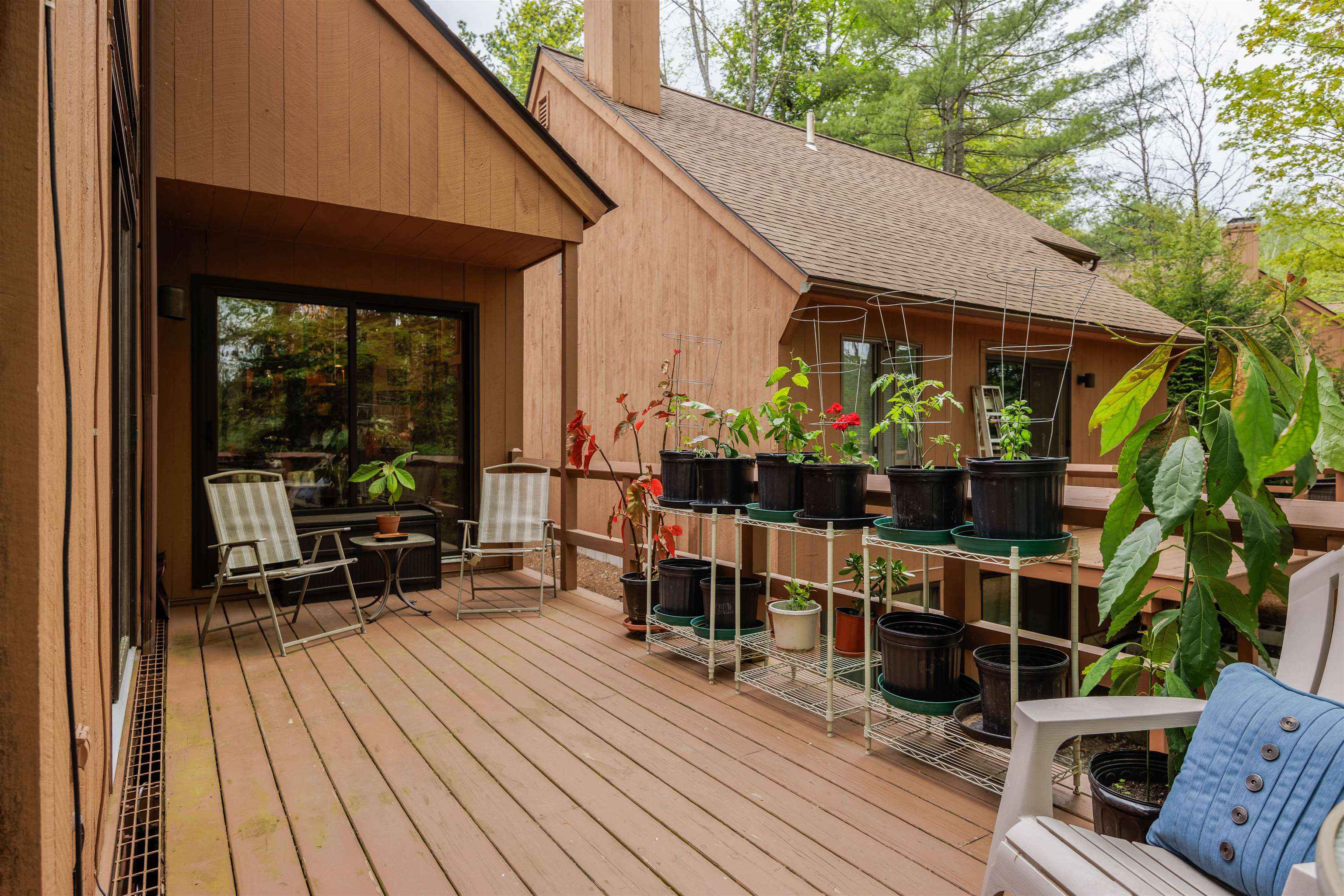 841 Cove Dr, Grantham, NH 03753
