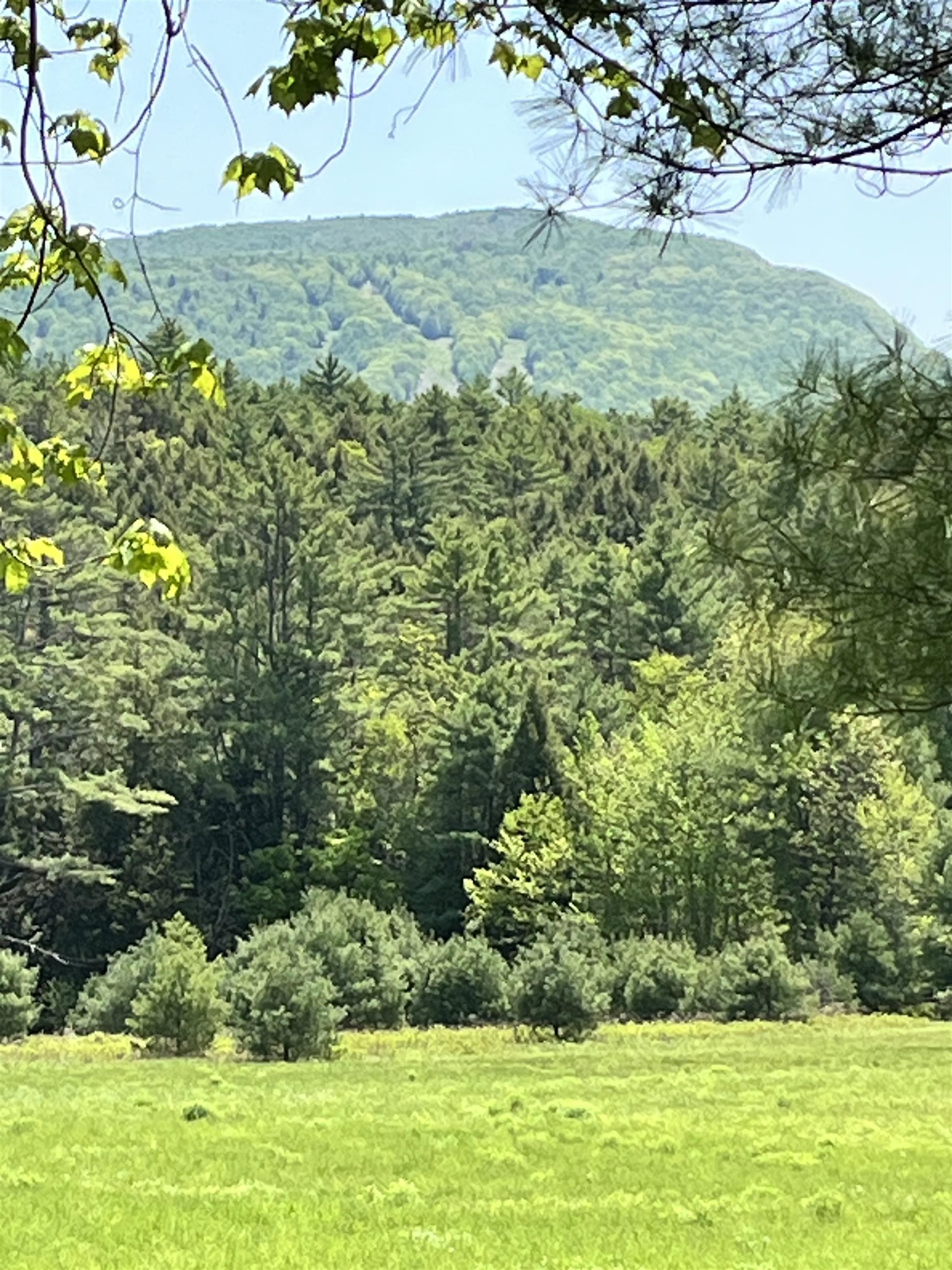 44 Franklin Hill Rd, Lyme, NH 03768