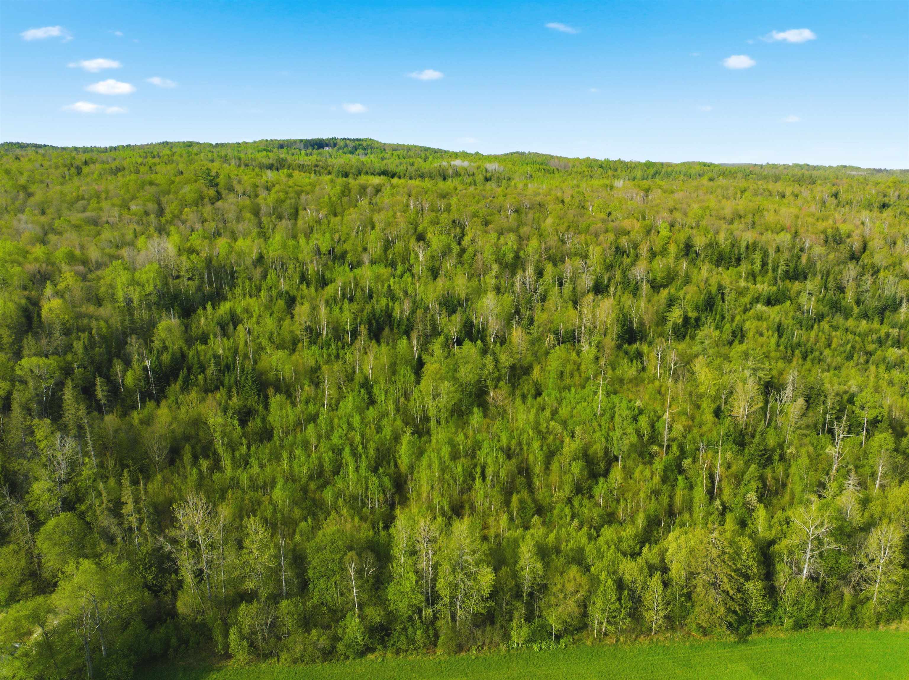 TBD Carleton Hill Rd, Colebrook, NH 03576