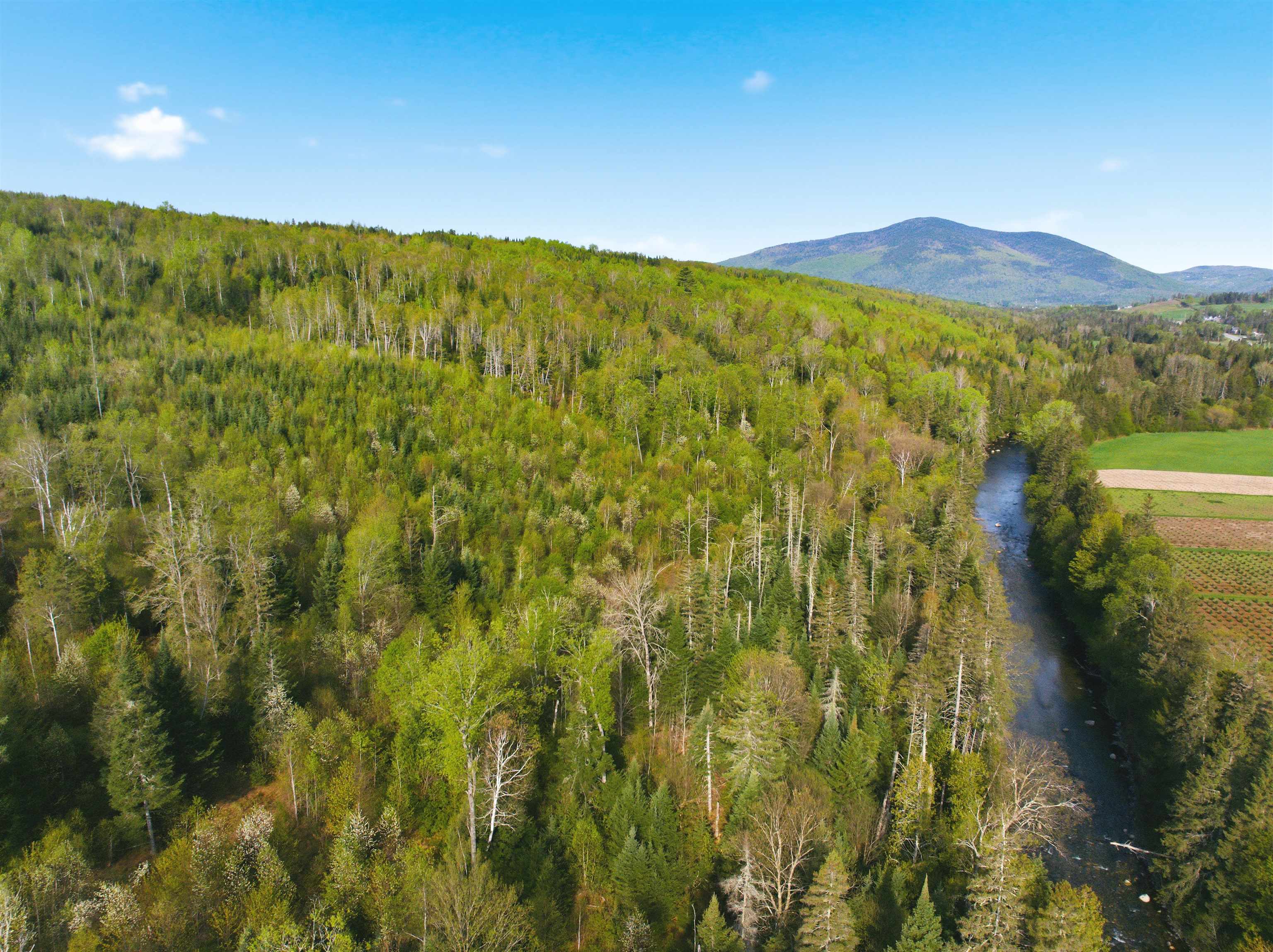 TBD Carleton Hill Rd, Colebrook, NH 03576