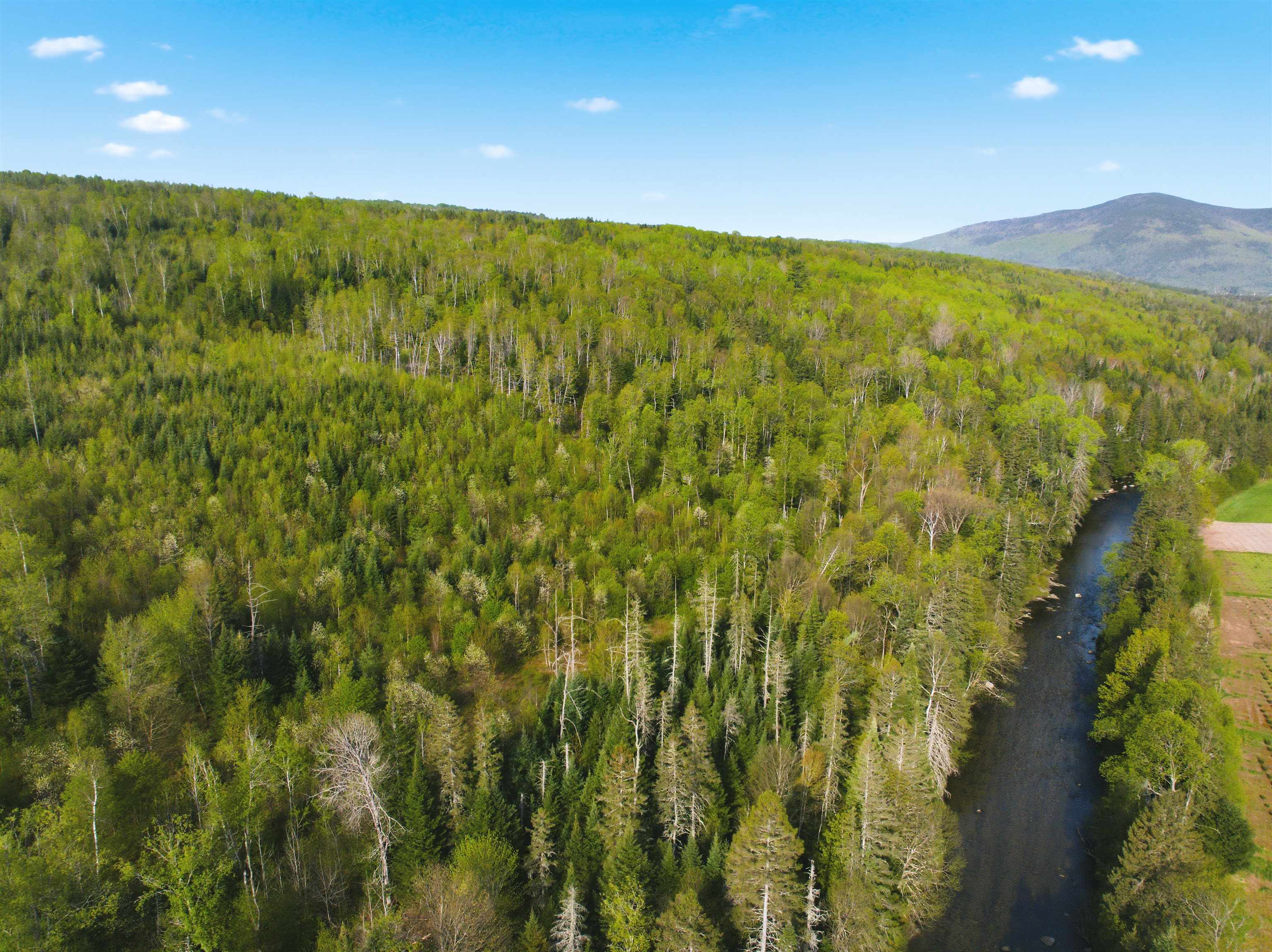 TBD Carleton Hill Rd, Colebrook, NH 03576