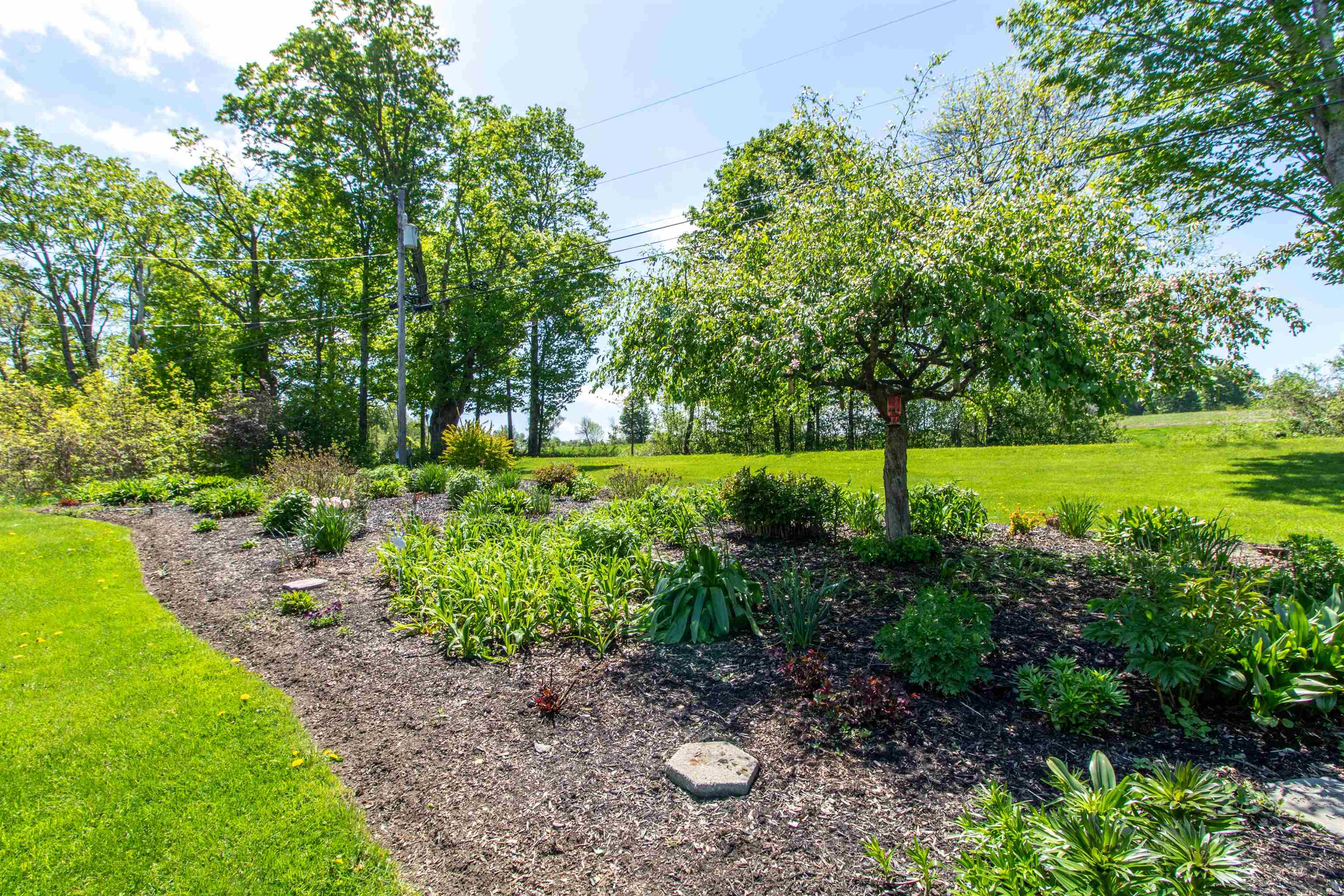 Property photo 44