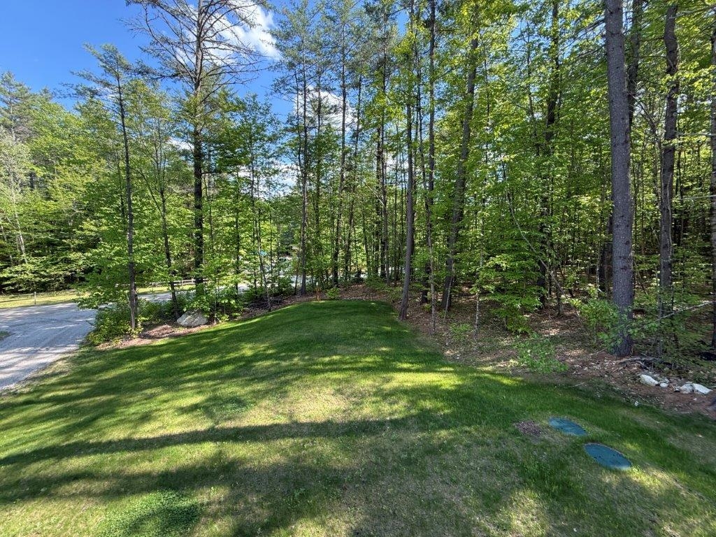 Yard From Front Porch