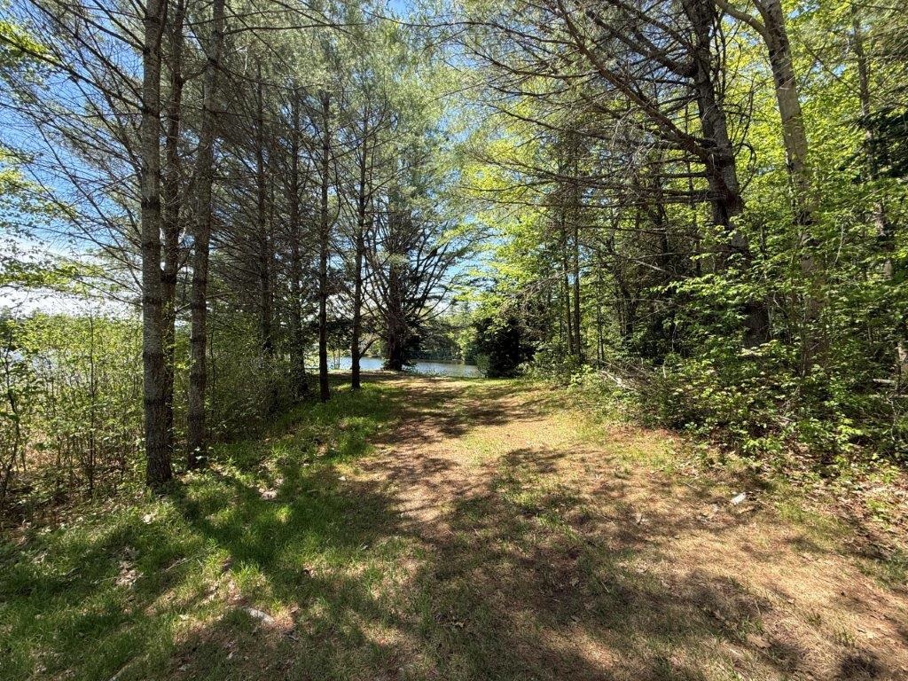Enjoy Nature On The Way To Pond