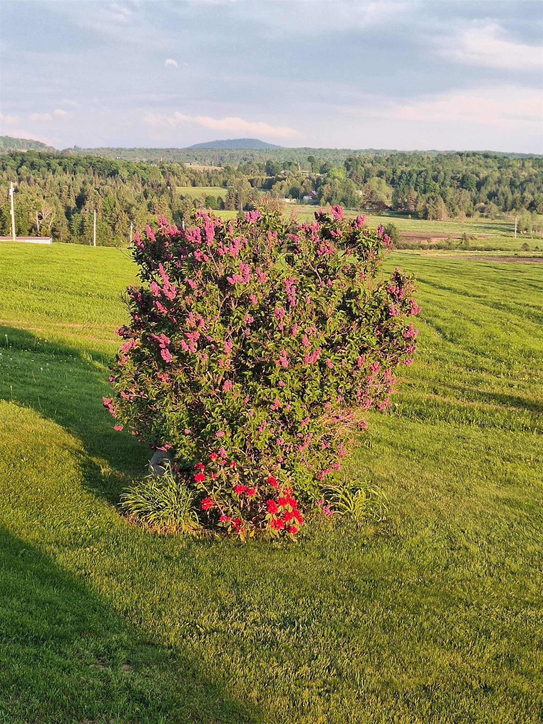 Property photo 47