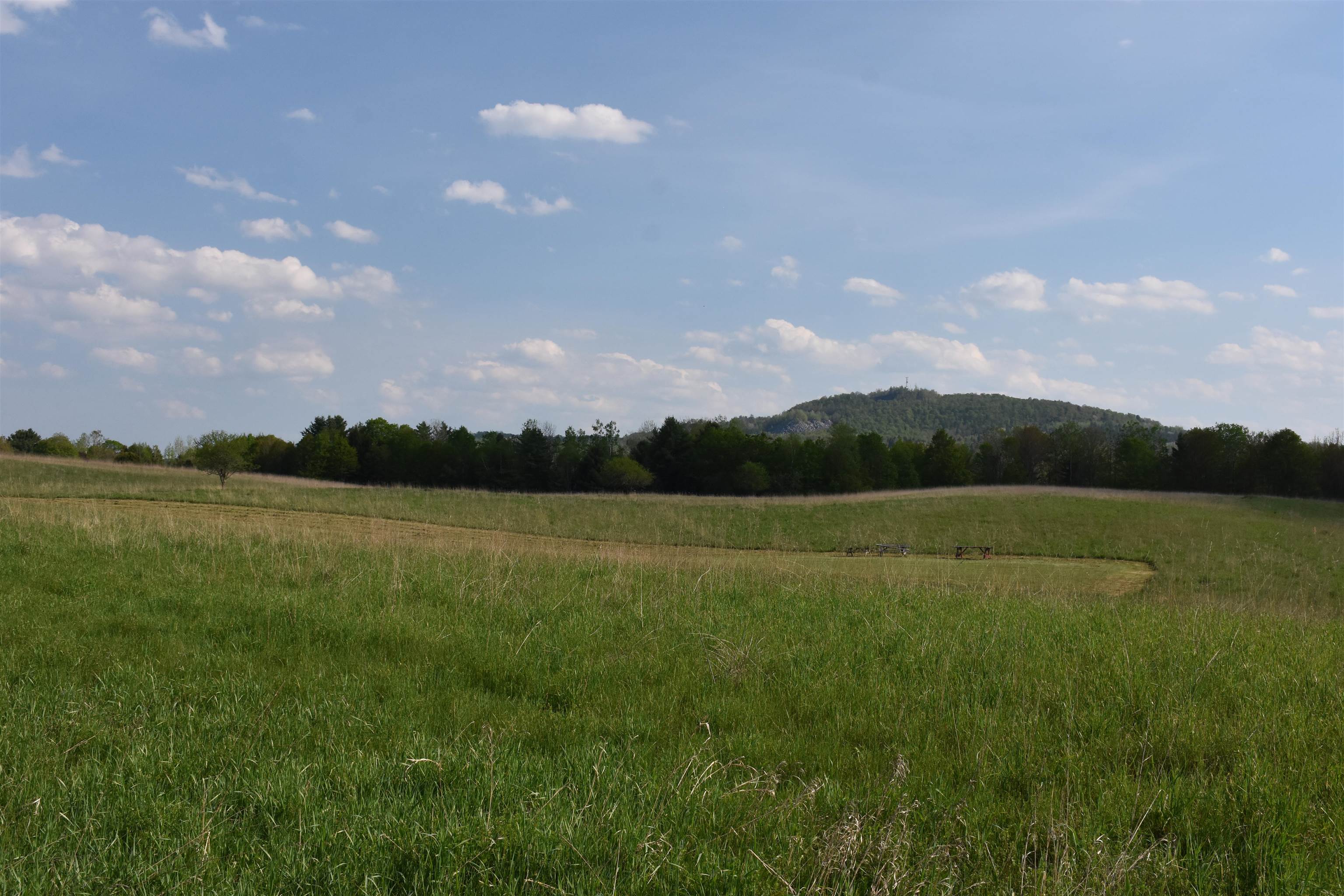 Pastoral setting showing both Lots 4 and 5 from road
