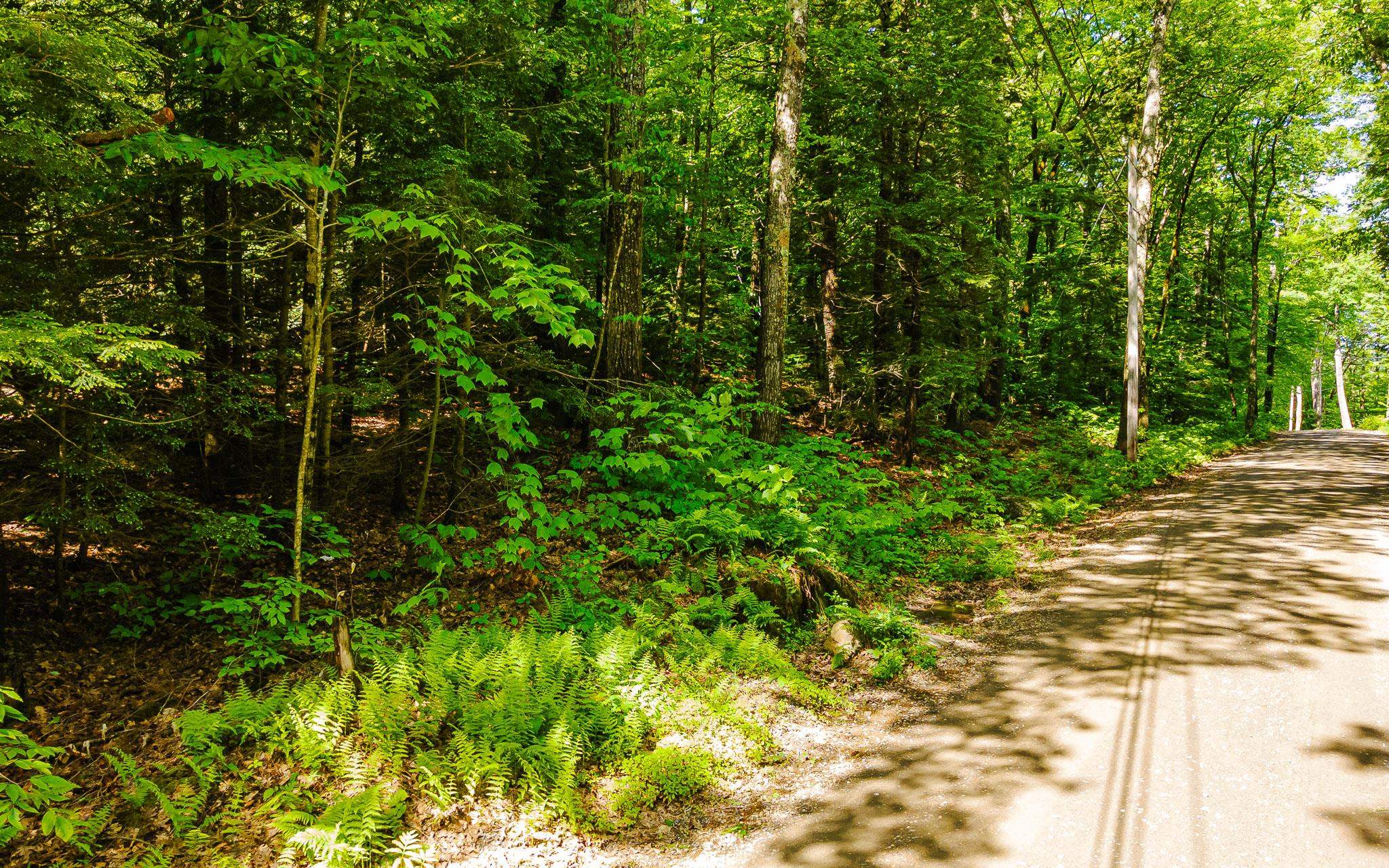 00 Camp Brook Rd, Alstead, NH 03602