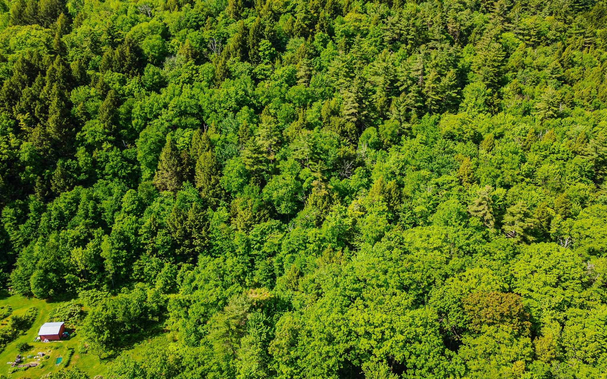 00 Camp Brook Rd, Alstead, NH 03602
