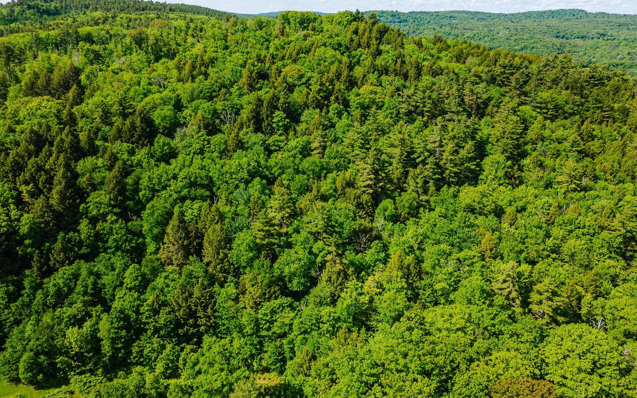00 Camp Brook Rd, Alstead, NH 03602