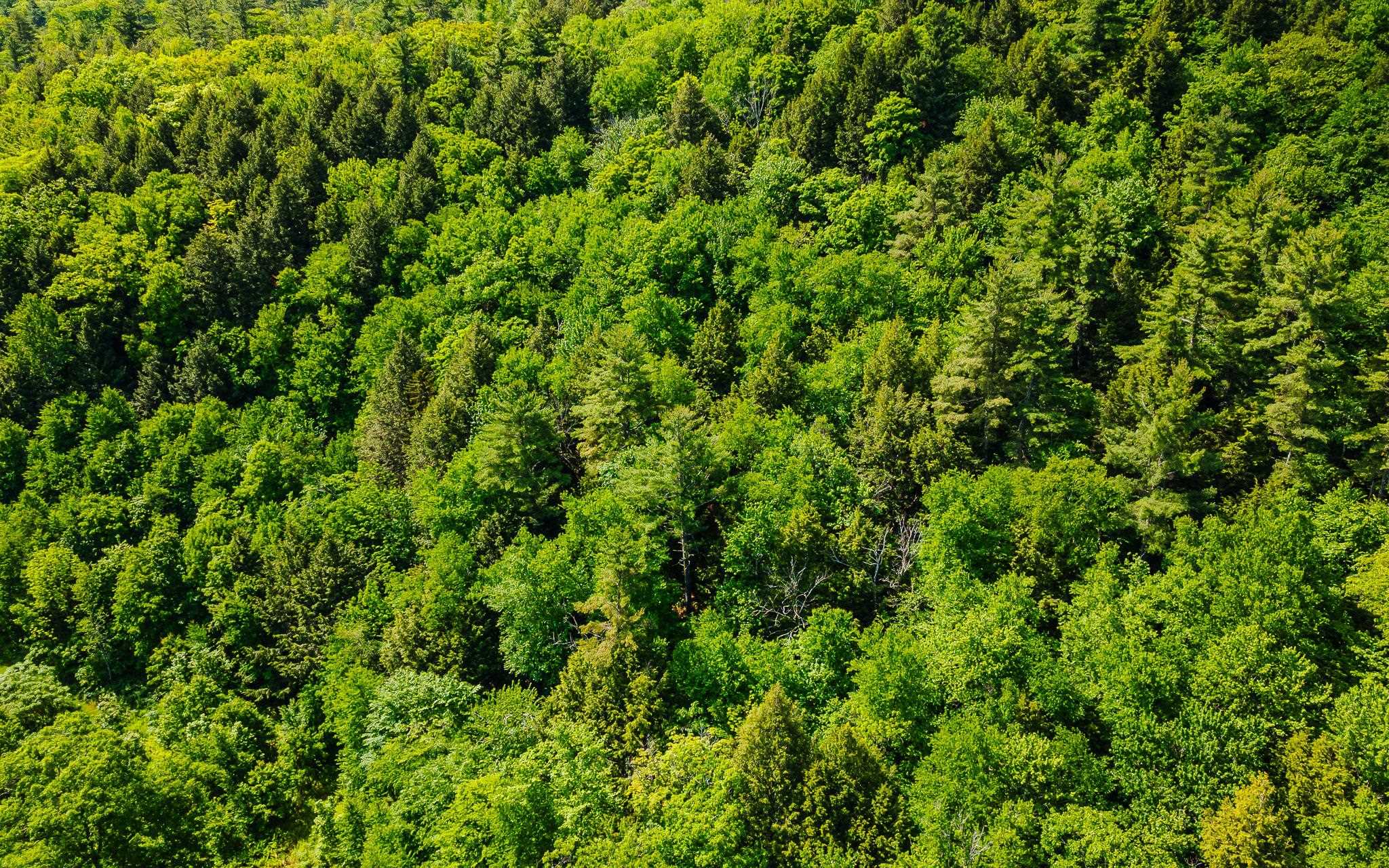 00 Camp Brook Rd, Alstead, NH 03602