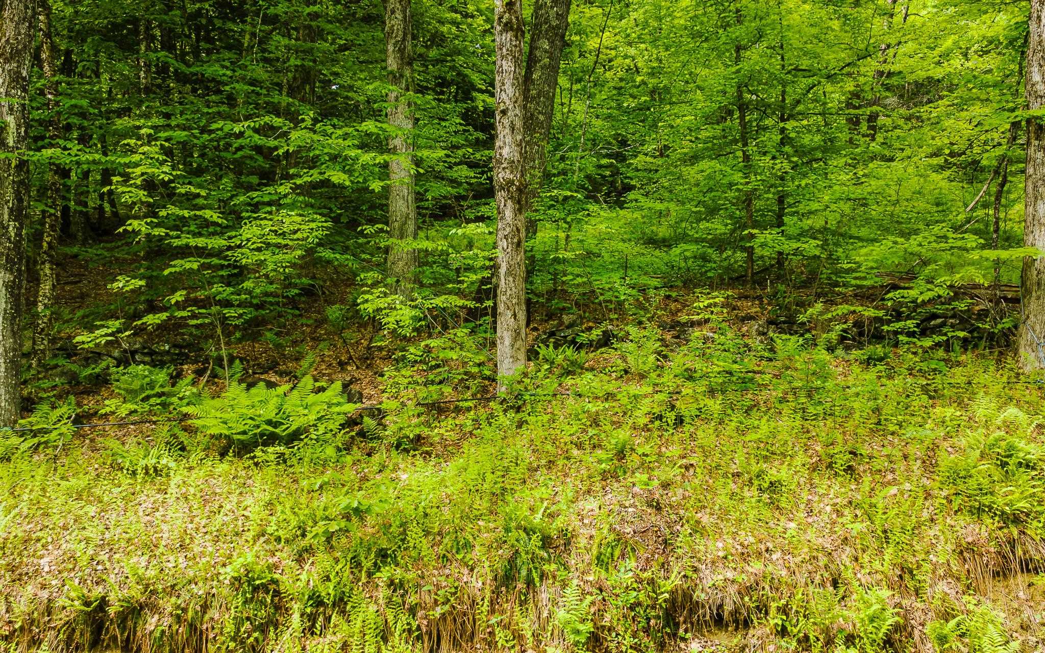 Lot 67 Camp Brook Rd, Alstead, NH 03602