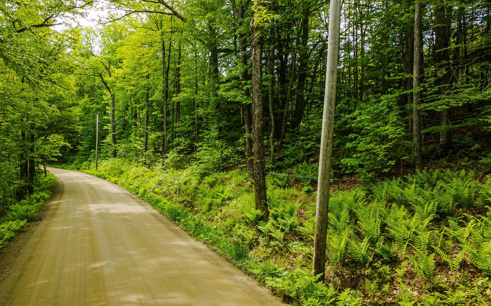 Lot 67 Camp Brook Rd, Alstead, NH 03602