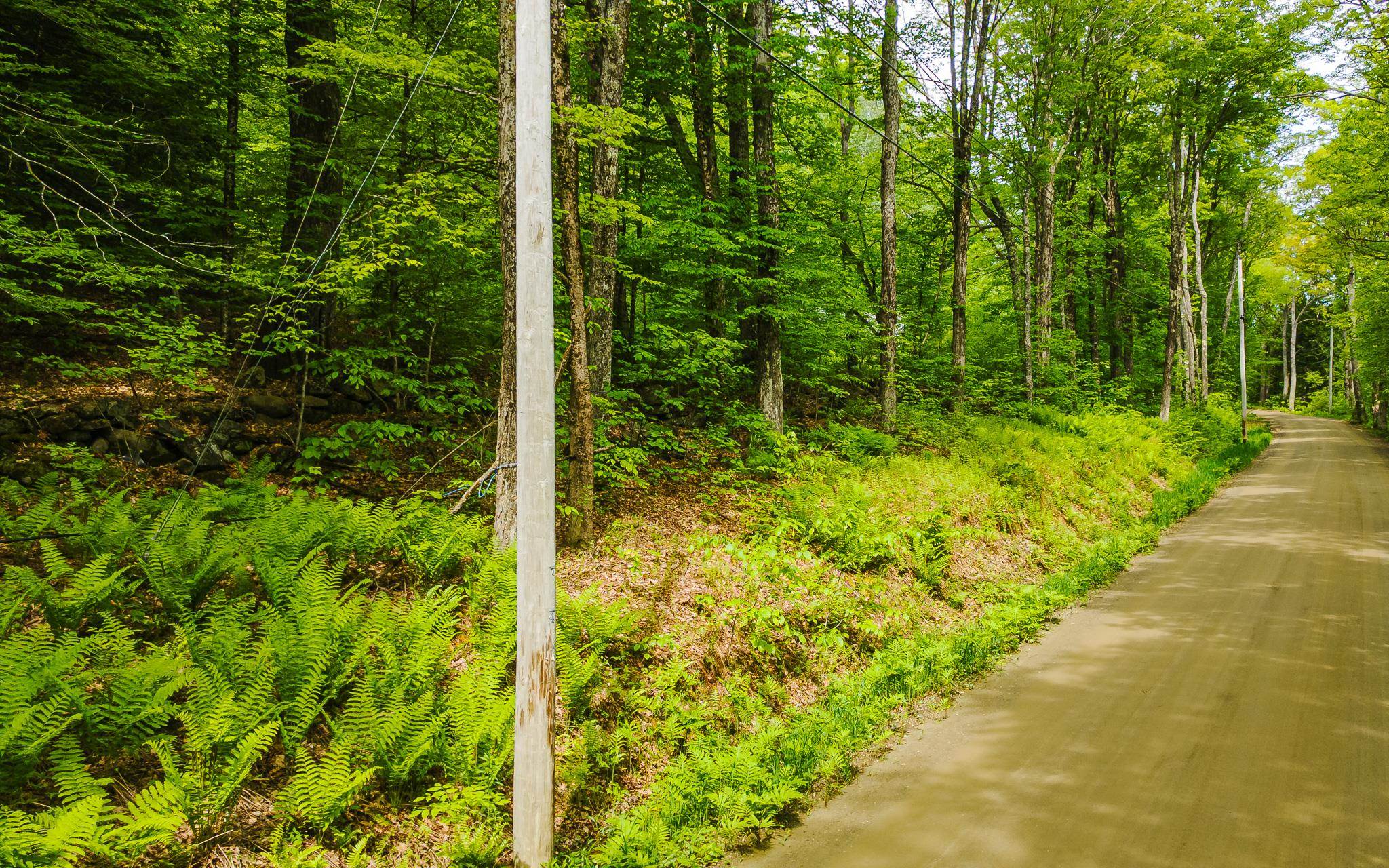 Lot 67 Camp Brook Rd, Alstead, NH 03602