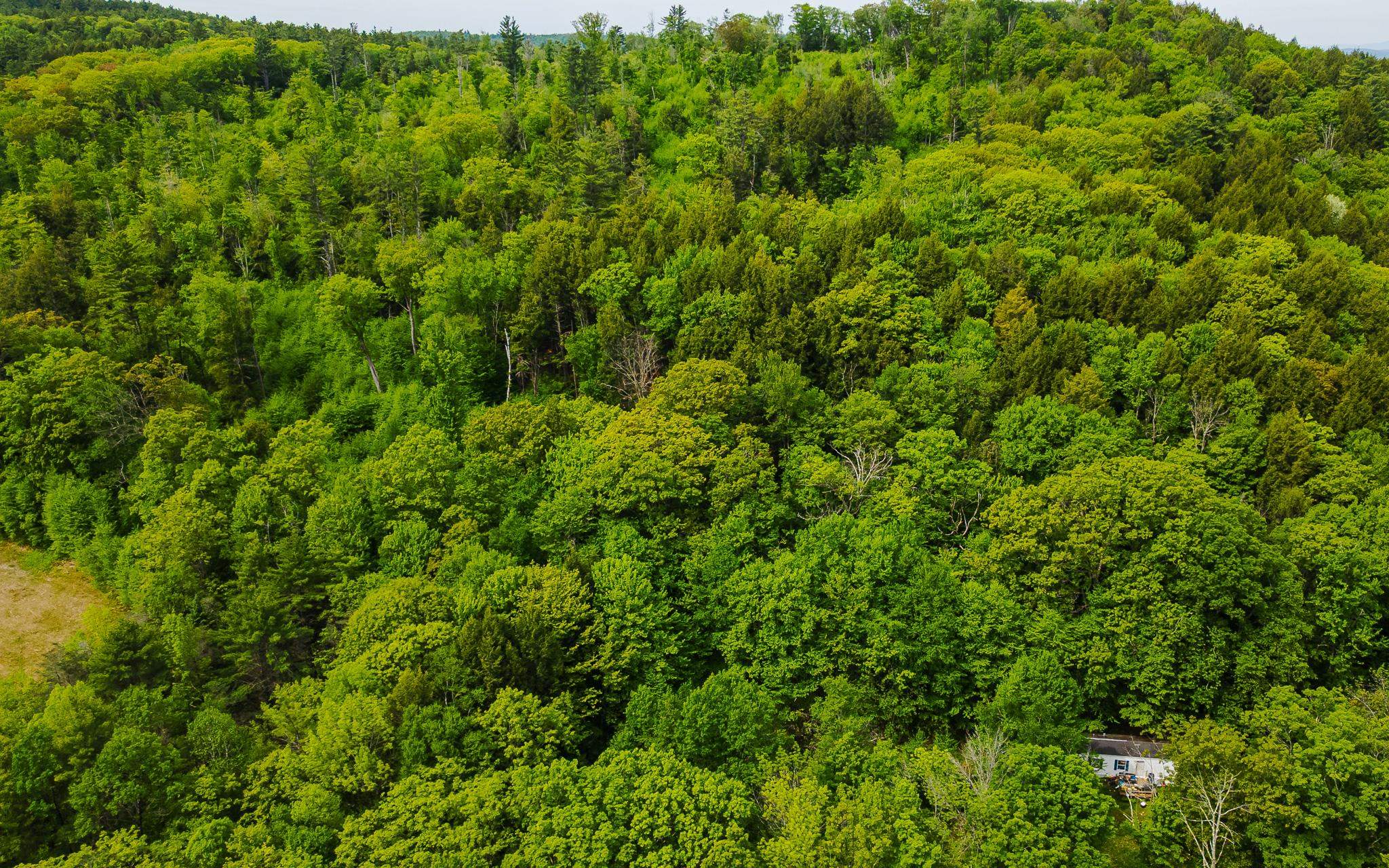 Lot 67 Camp Brook Rd, Alstead, NH 03602