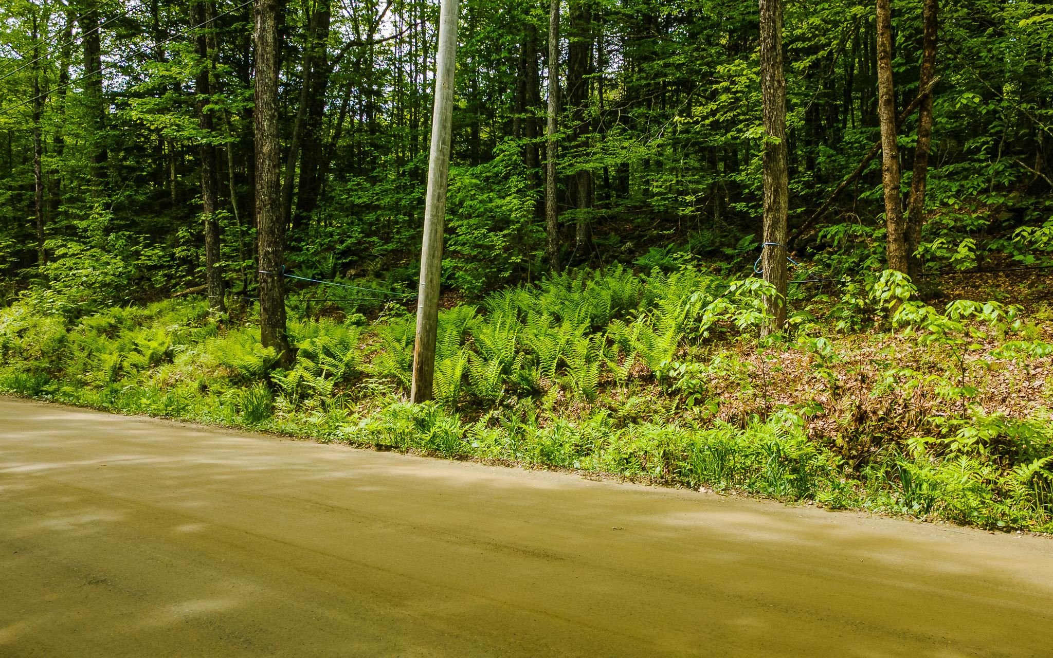 Lot 67 Camp Brook Rd, Alstead, NH 03602