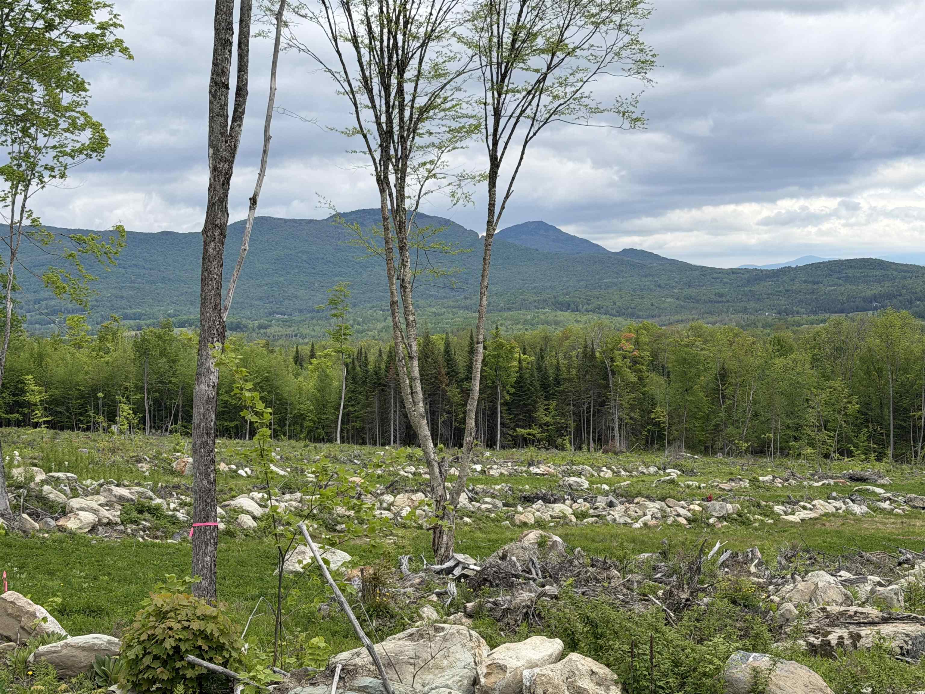 00 Gibbs Road Unit: Lot #2