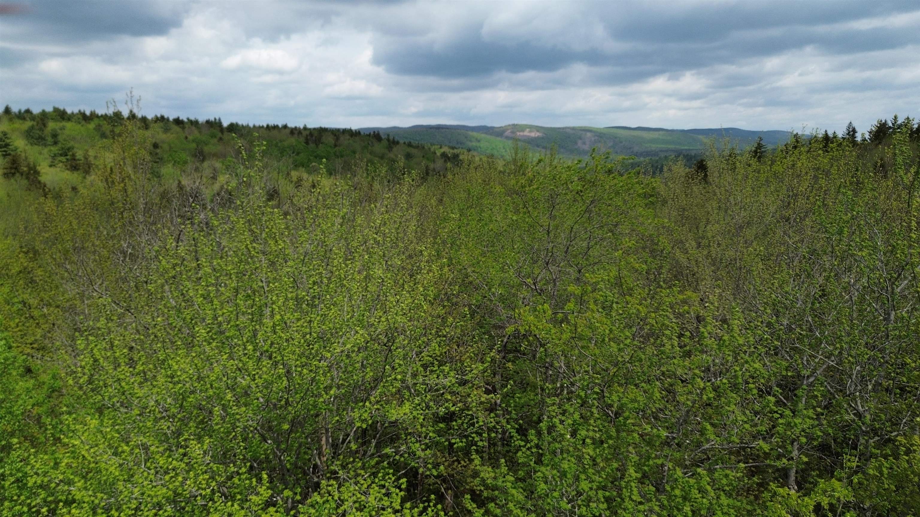 image of Washington NH Land | 11.8 Acres