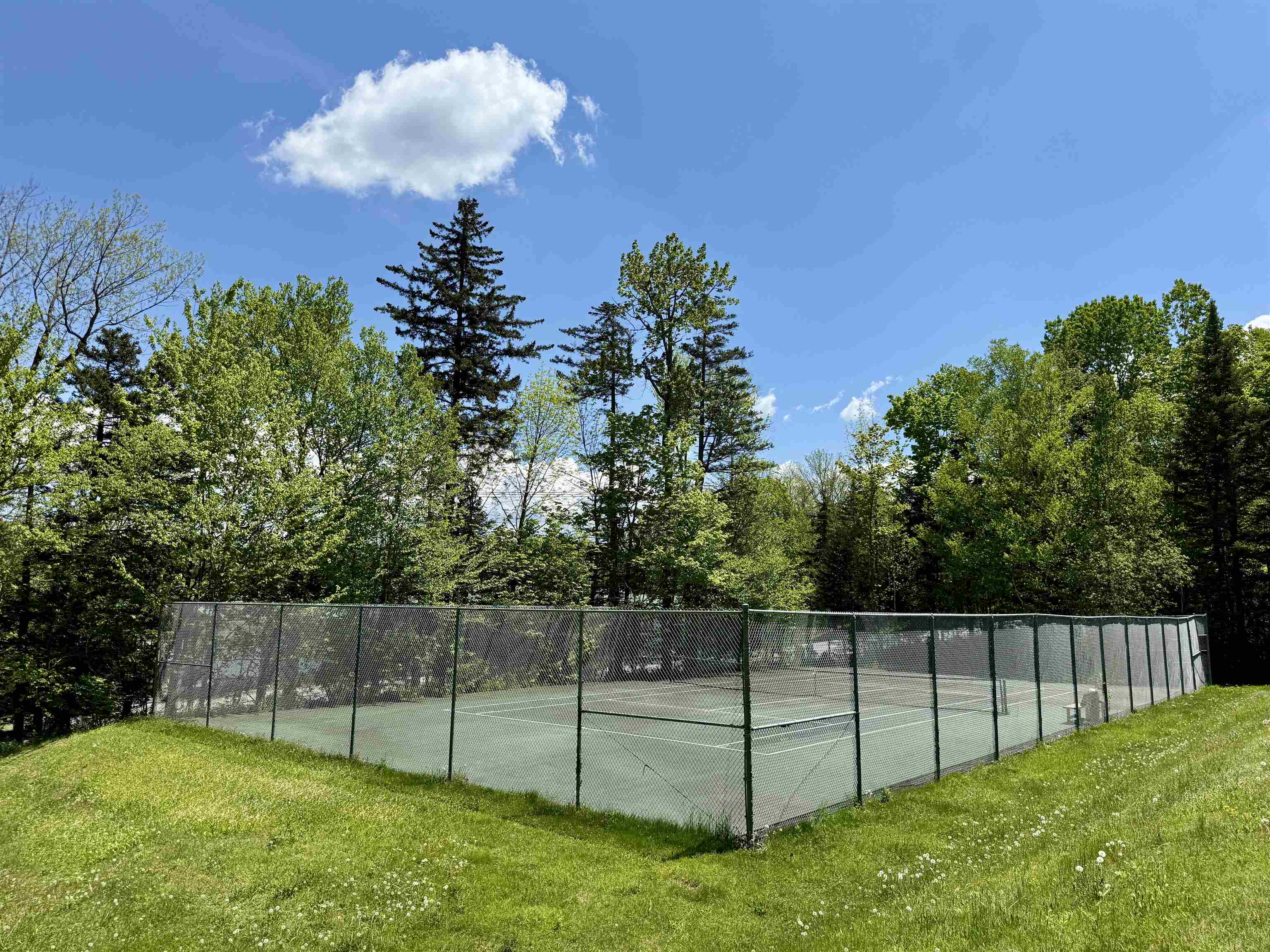 Property photo 41