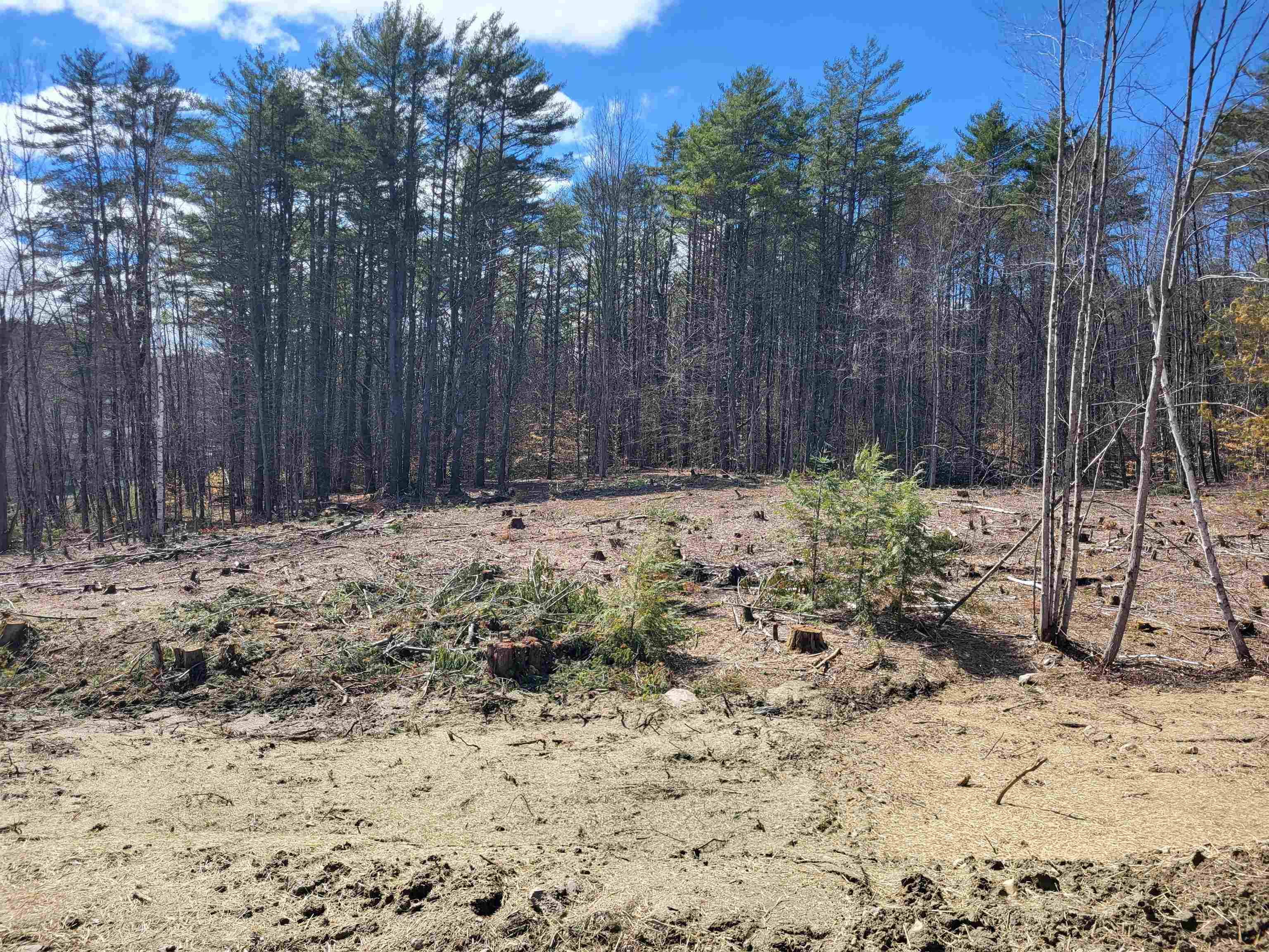 276 Nh 104 Route, Danbury, NH 03230