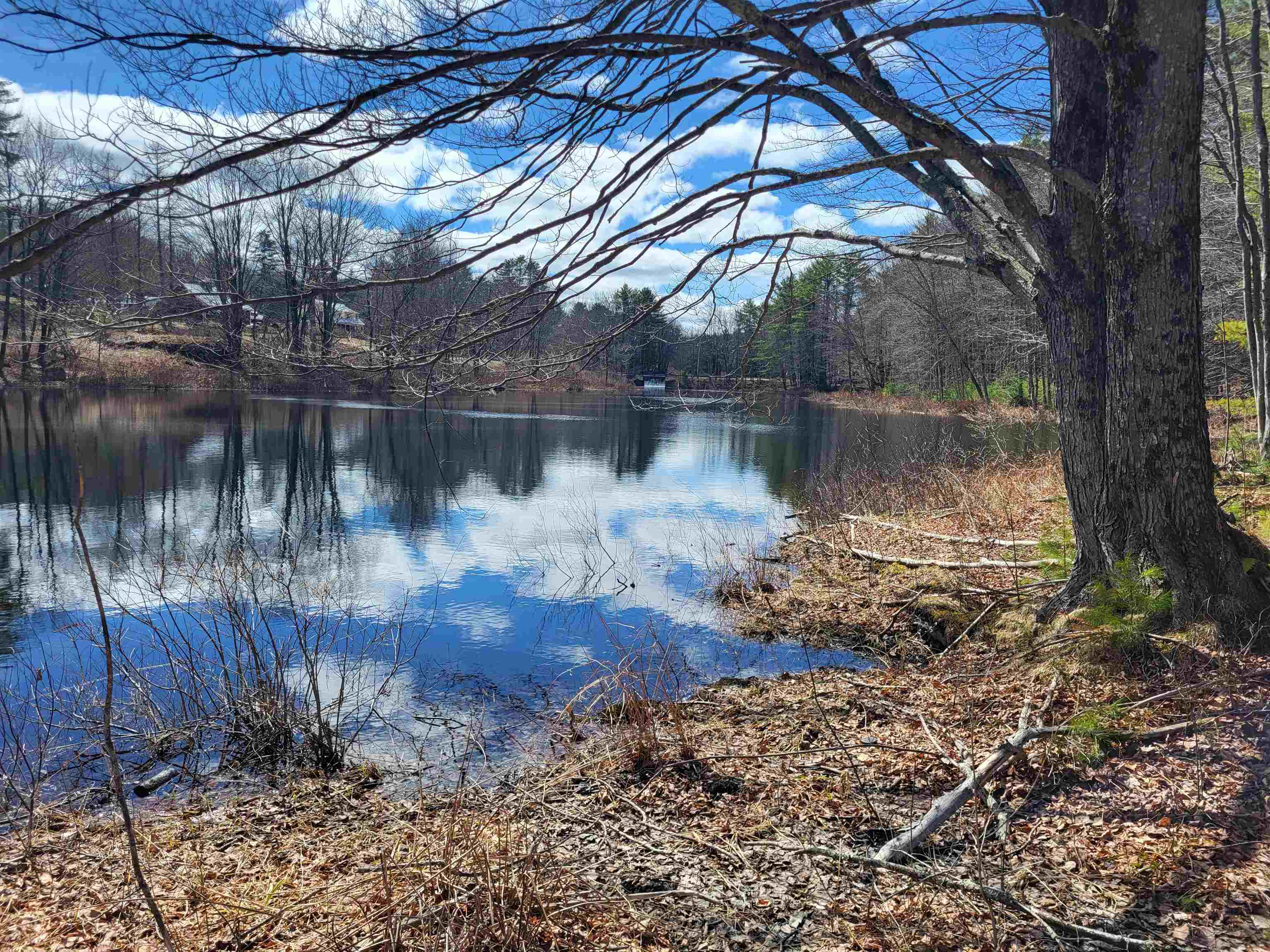 276 Nh 104 Route, Danbury, NH 03230