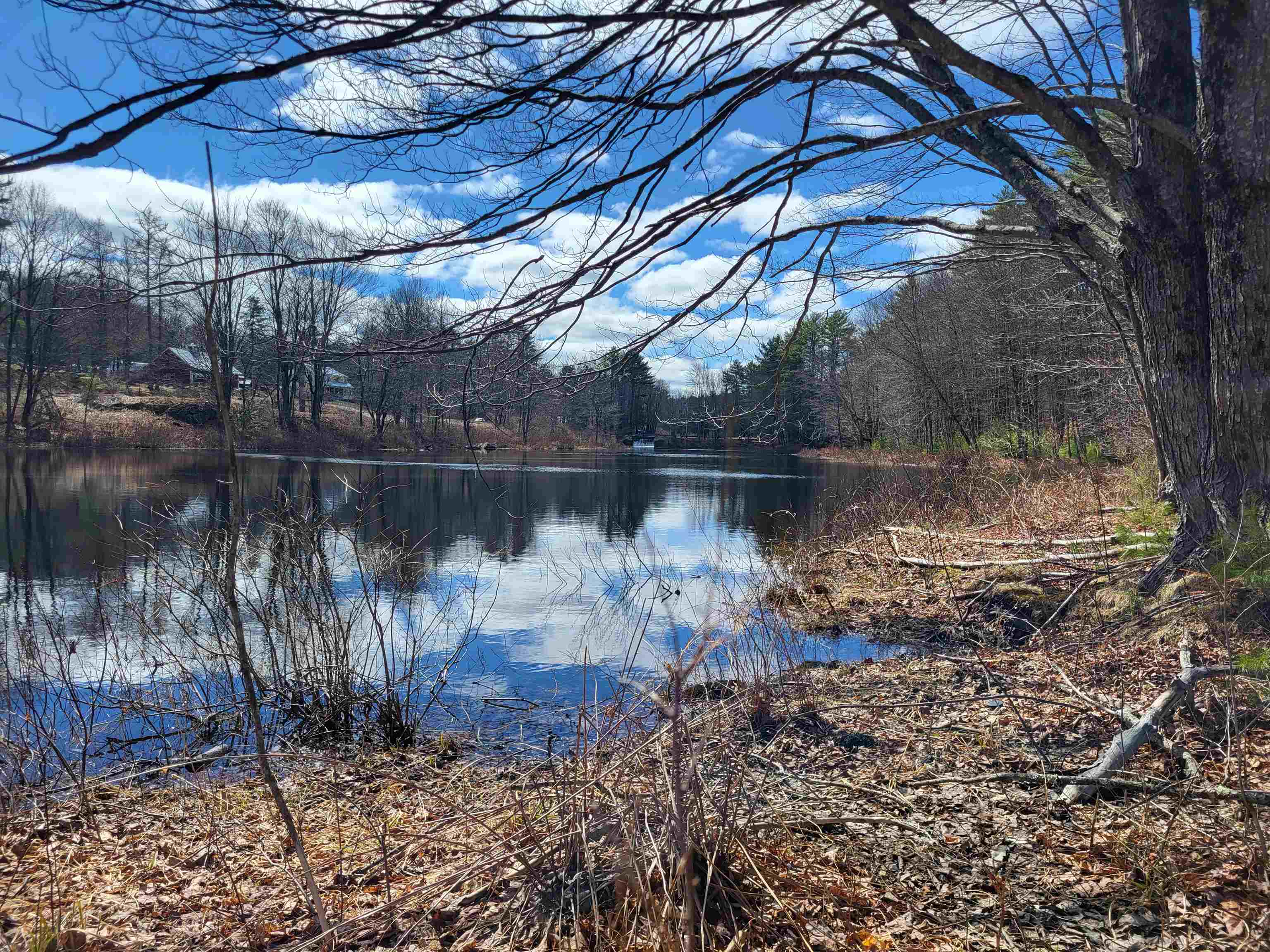 276 Nh 104 Route, Danbury, NH 03230