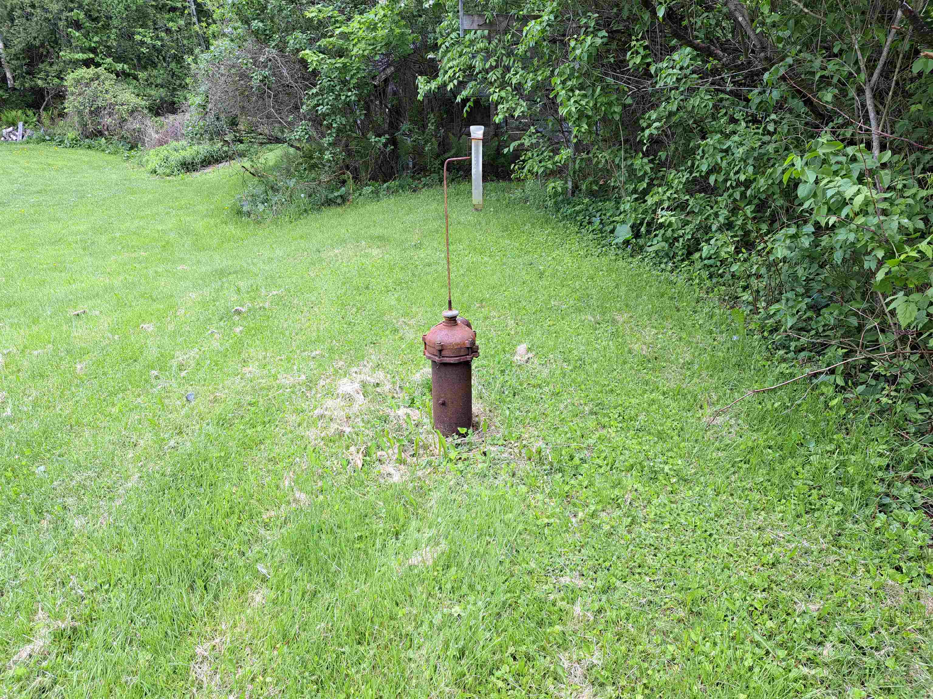 Artesian well 25389270